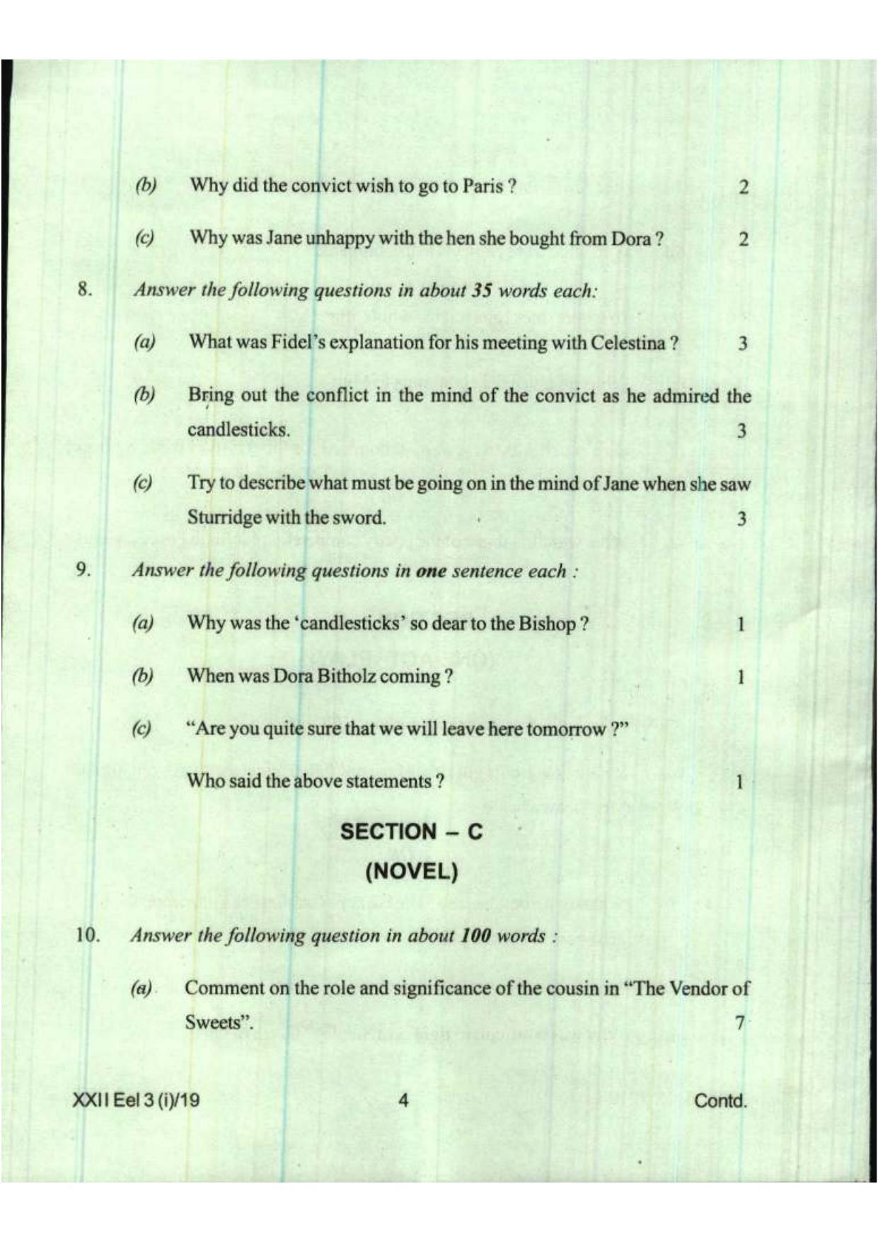 COHSEM Class 12 Elective English 2019 Question Papers - Page 4