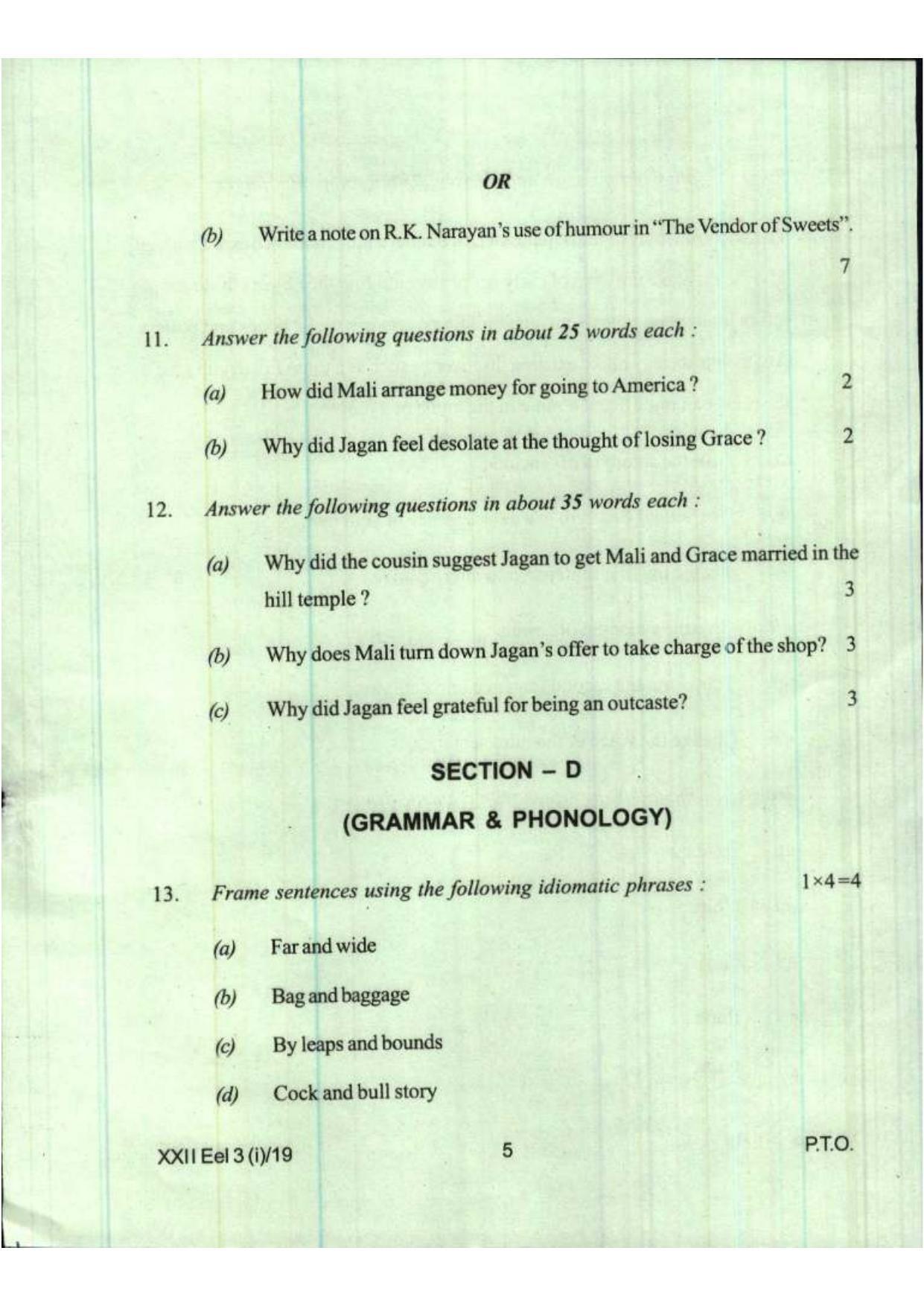 COHSEM Class 12 Elective English 2019 Question Papers - Page 5