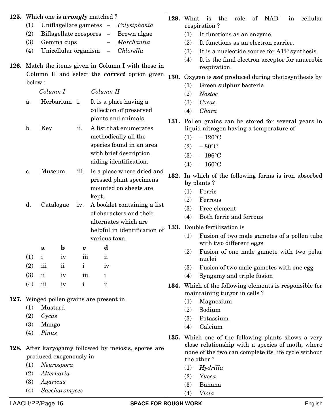 NEET English PP 2019 Question Paper - Page 16
