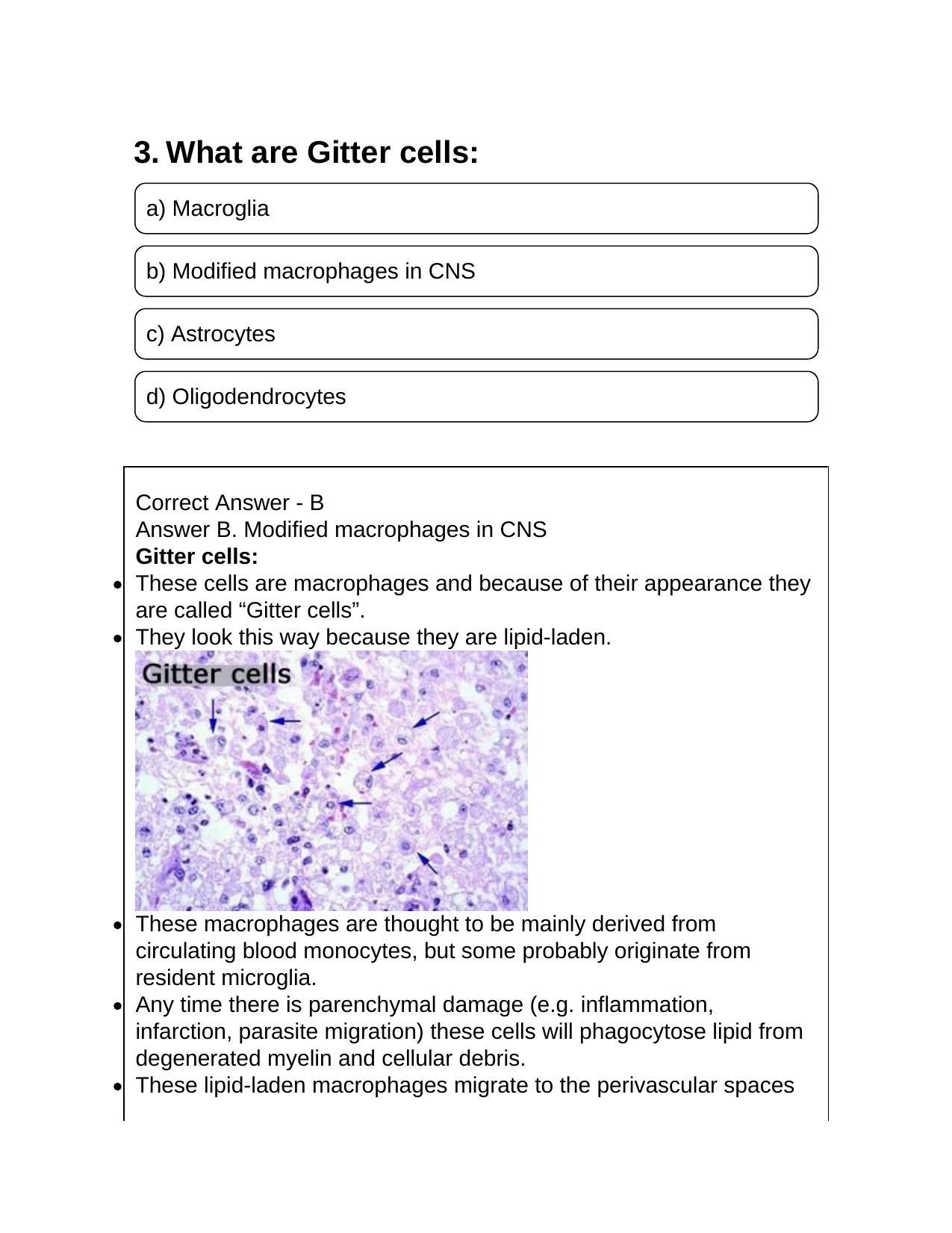 NEET PG 2019 Question Paper - Page 4