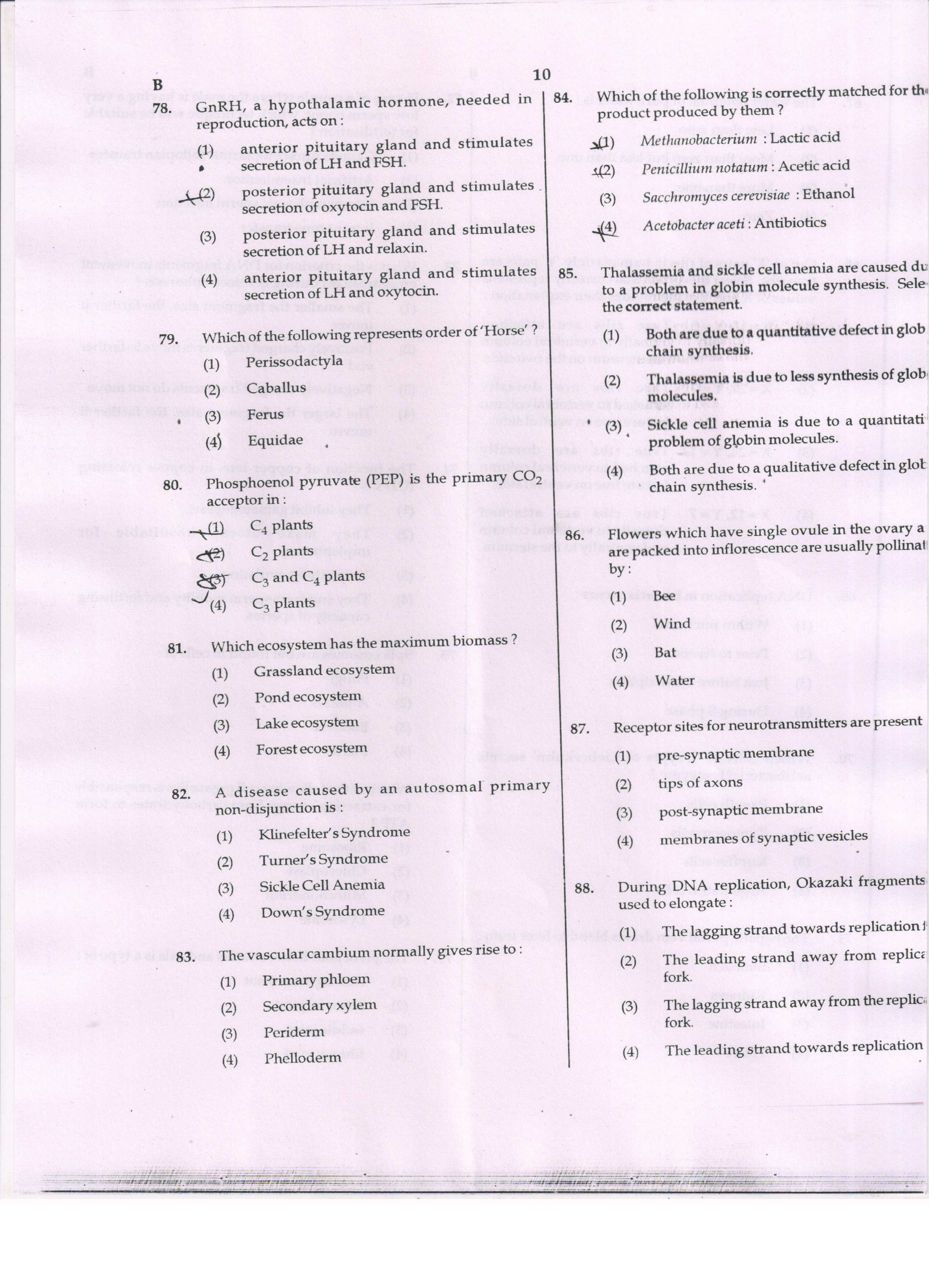 NEET Code B 2017 Question Paper - Page 10