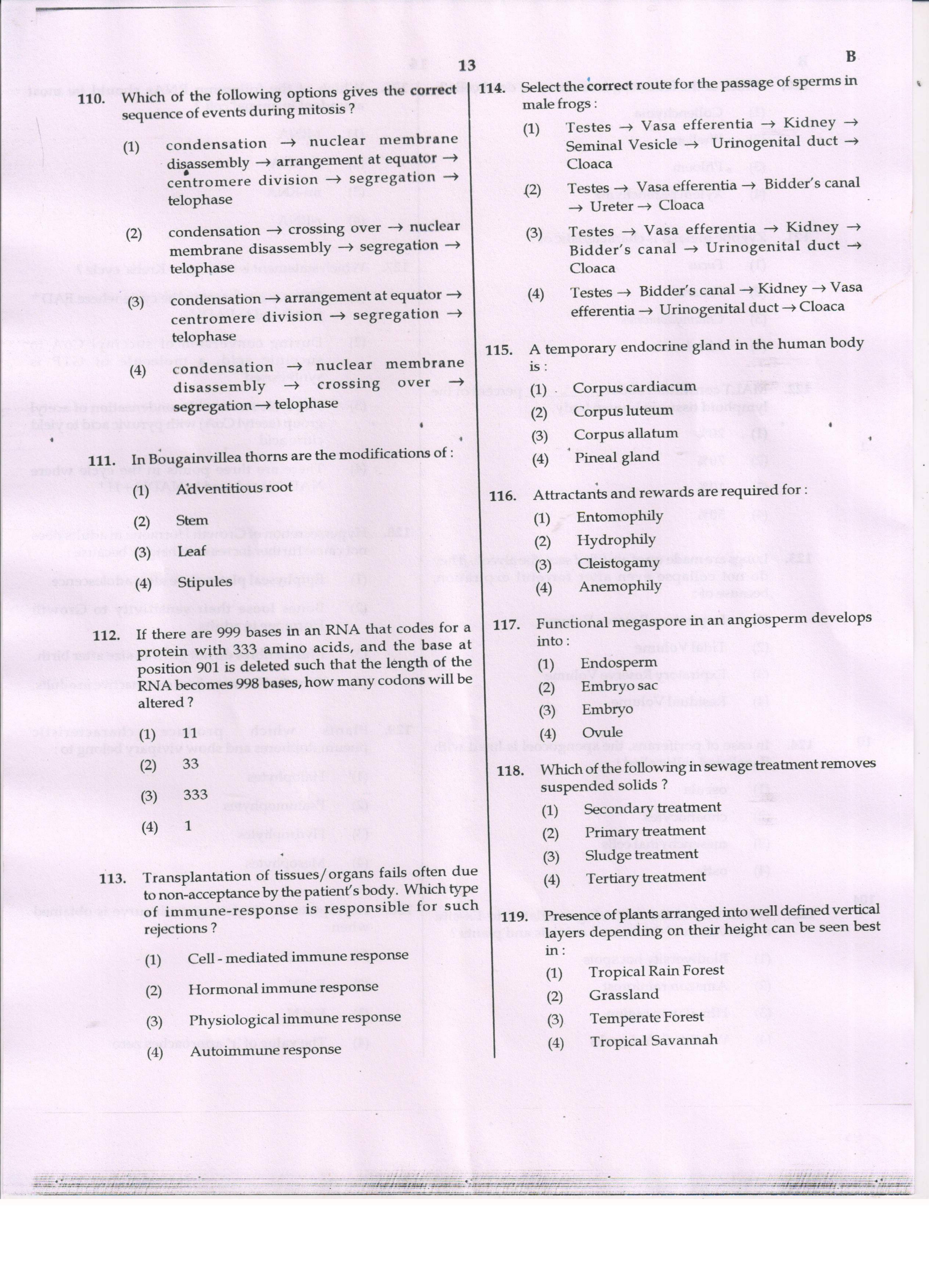 NEET Code B 2017 Question Paper - Page 13