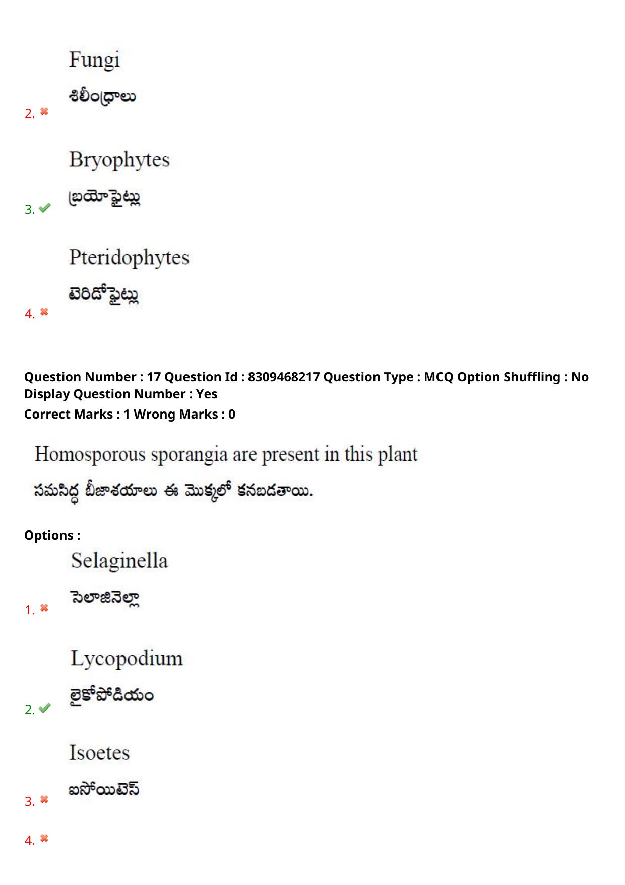 APPGCET 2024 Botany Paper with Answer Key - Page 13