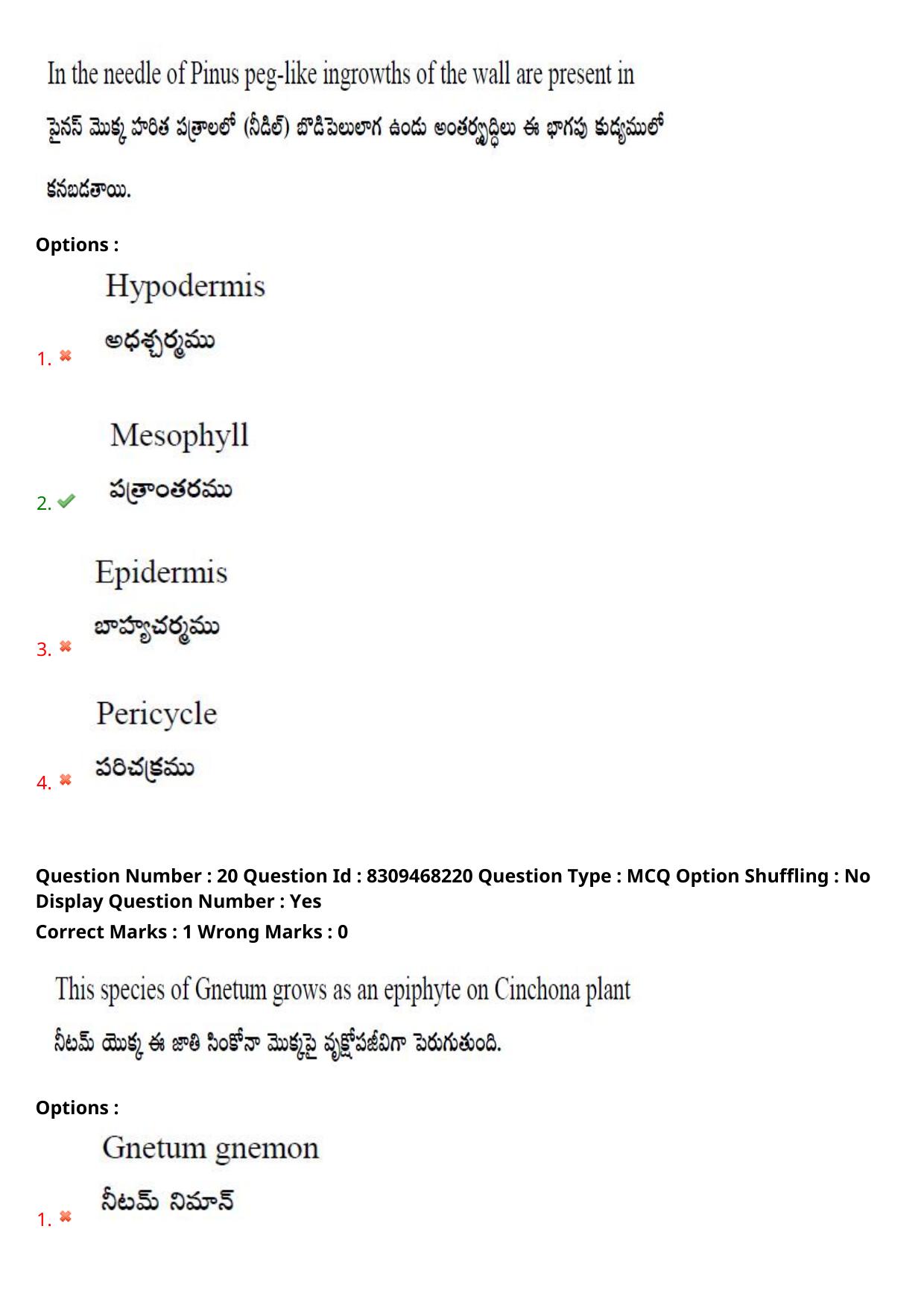 APPGCET 2024 Botany Paper with Answer Key - Page 15