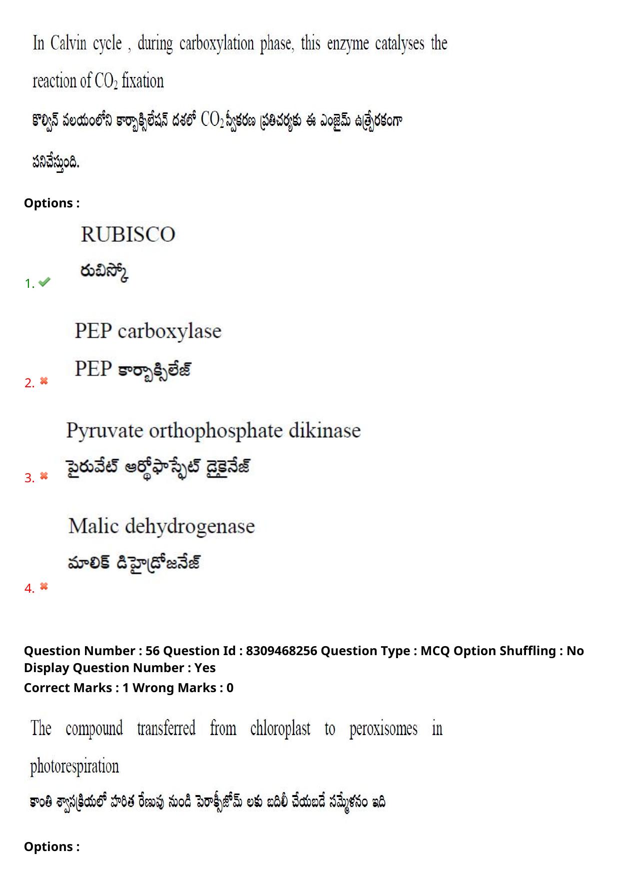 APPGCET 2024 Botany Paper with Answer Key - Page 41