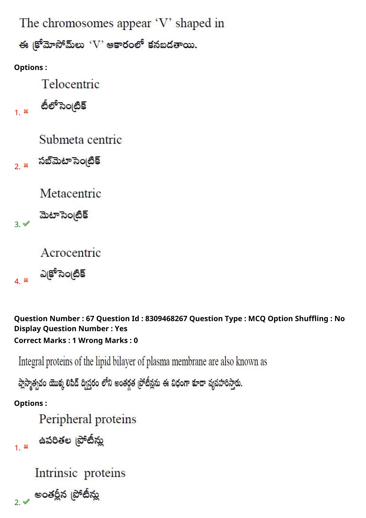 APPGCET 2024 Botany Paper with Answer Key - Page 49