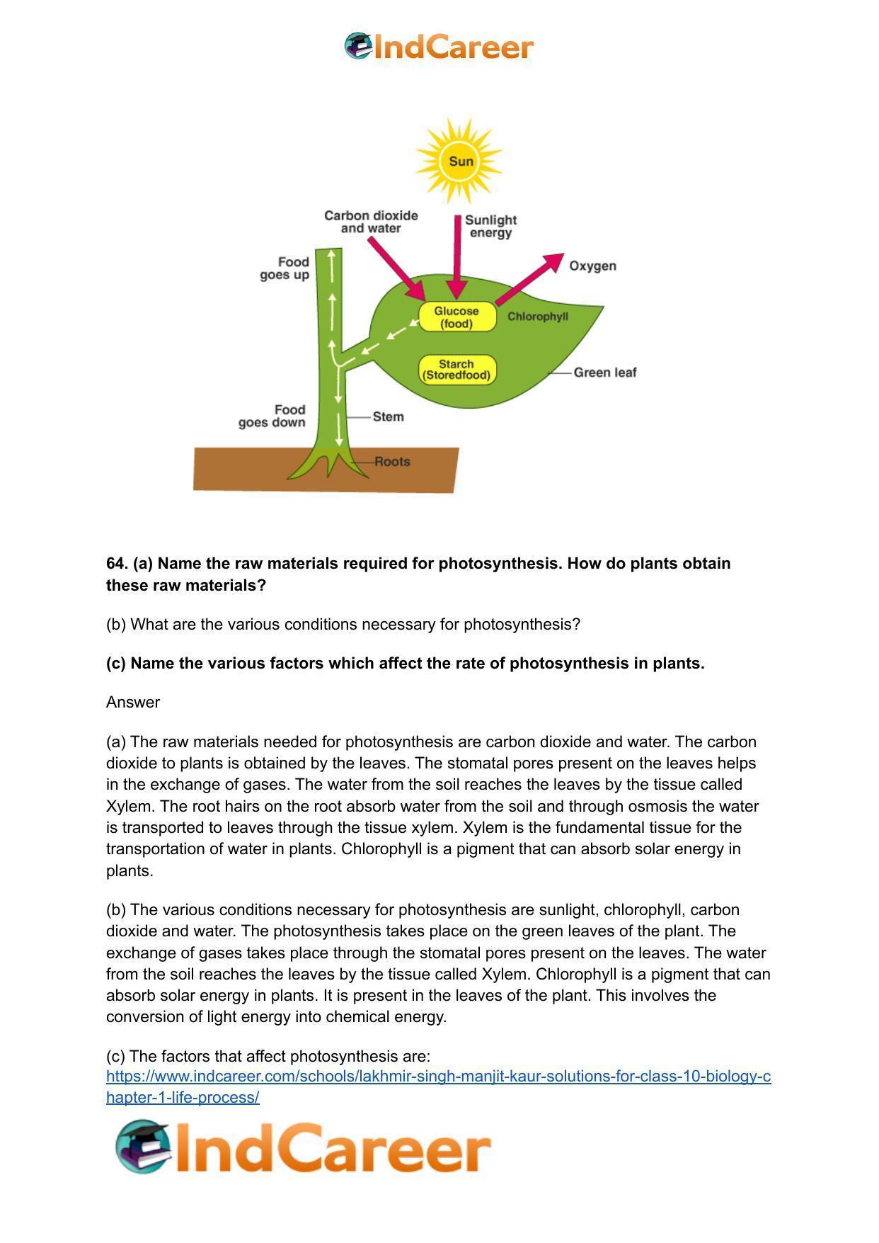 Lakhmir Singh Manjit Kaur  Solutions for Class 10 Biology: Chapter 1- Life Process - Page 24