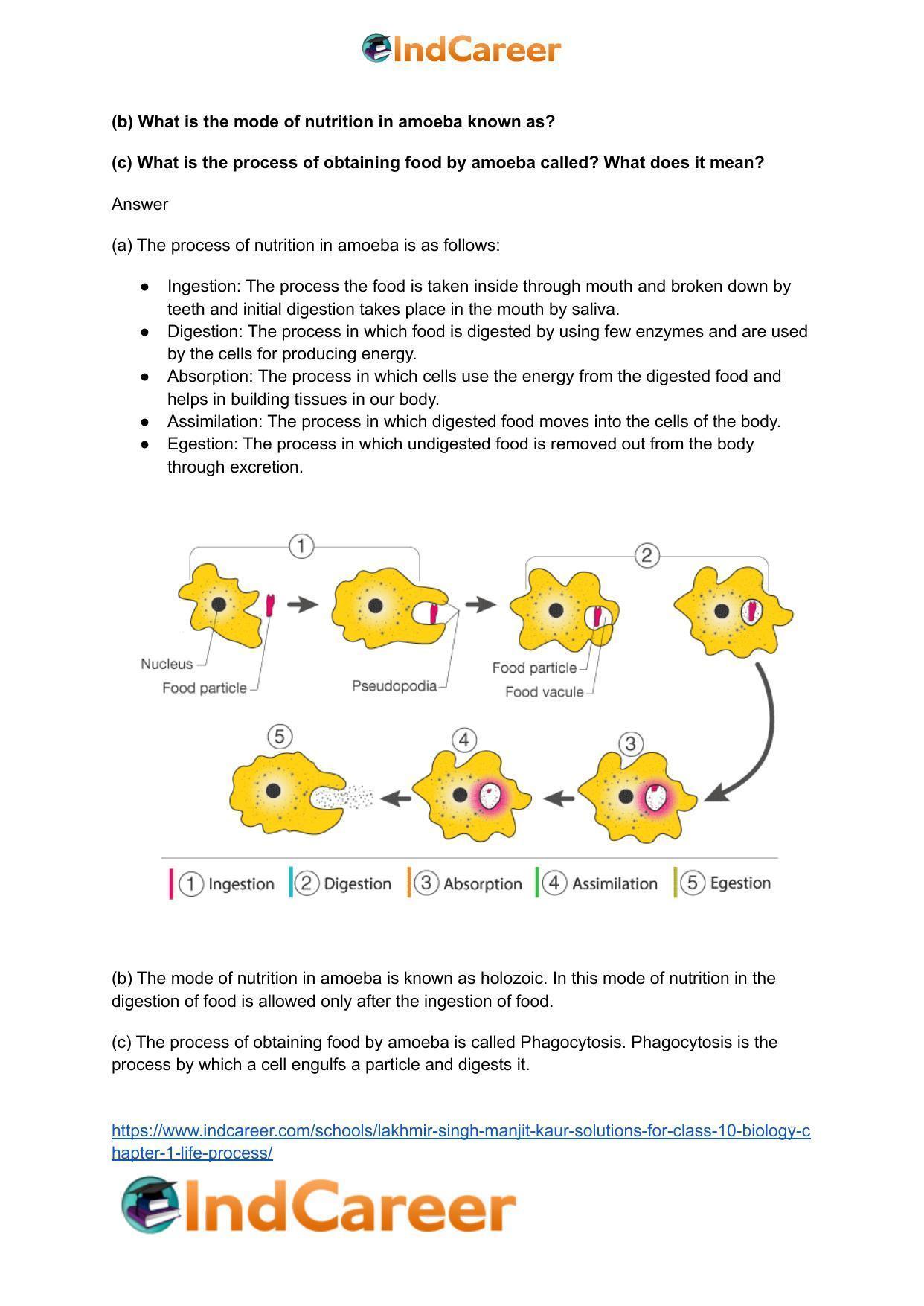 Lakhmir Singh Manjit Kaur  Solutions for Class 10 Biology: Chapter 1- Life Process - Page 27