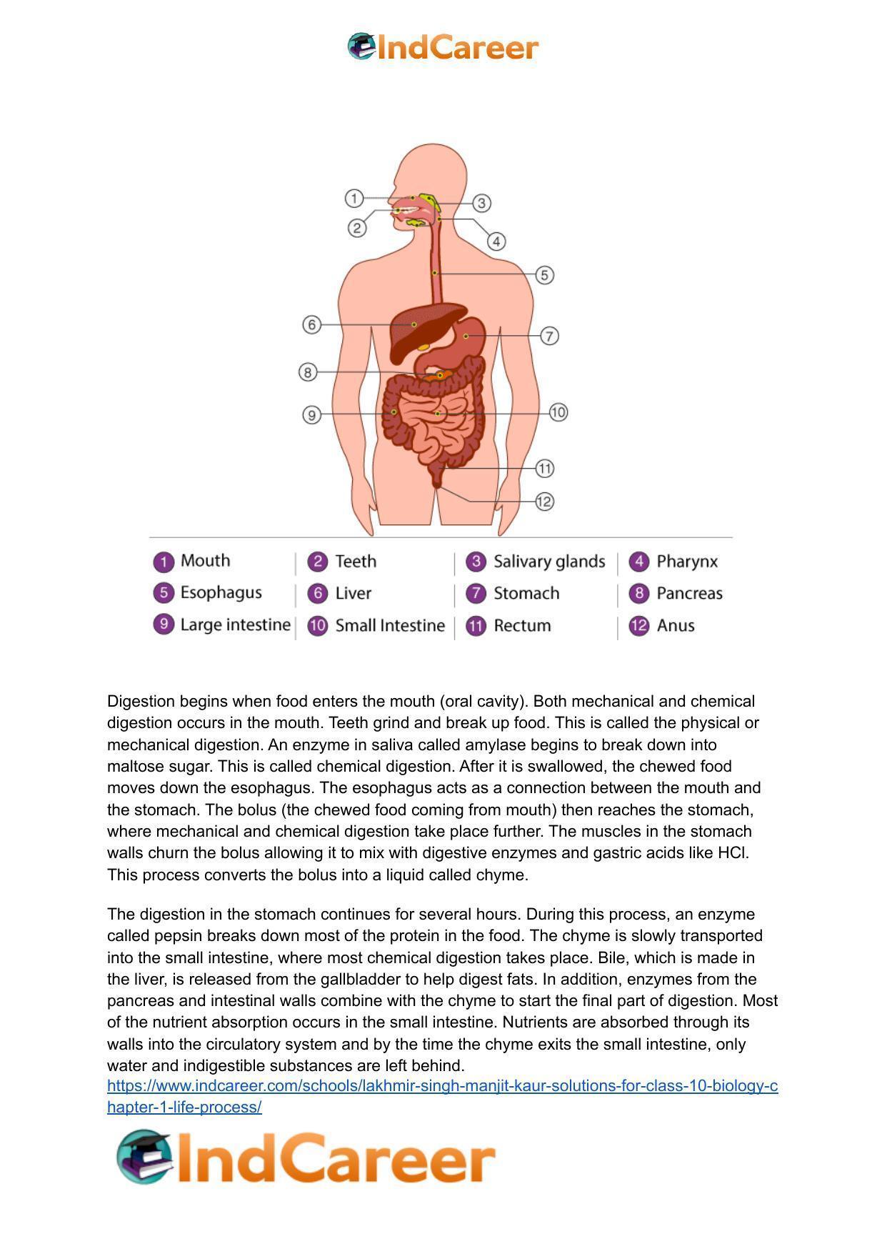 Lakhmir Singh Manjit Kaur  Solutions for Class 10 Biology: Chapter 1- Life Process - Page 29