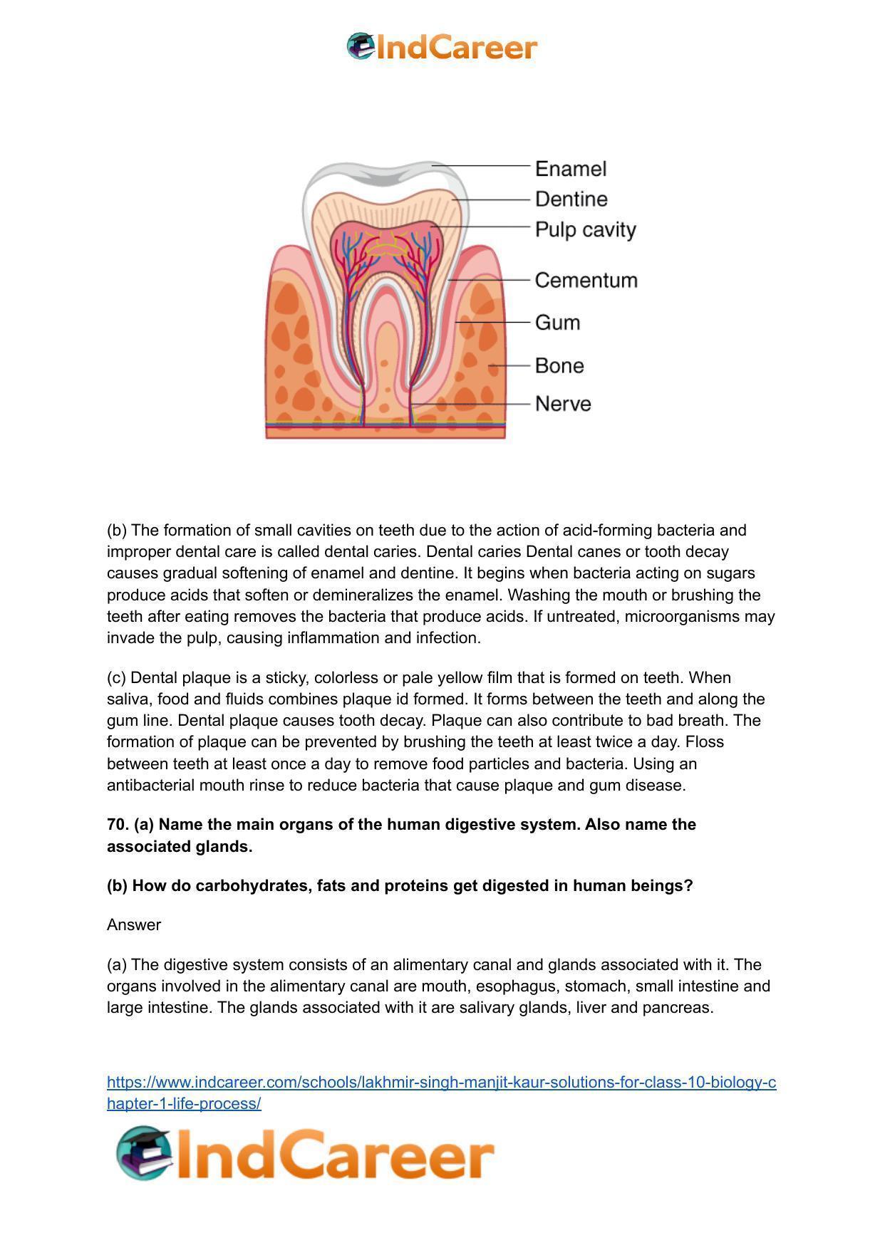 Lakhmir Singh Manjit Kaur  Solutions for Class 10 Biology: Chapter 1- Life Process - Page 31