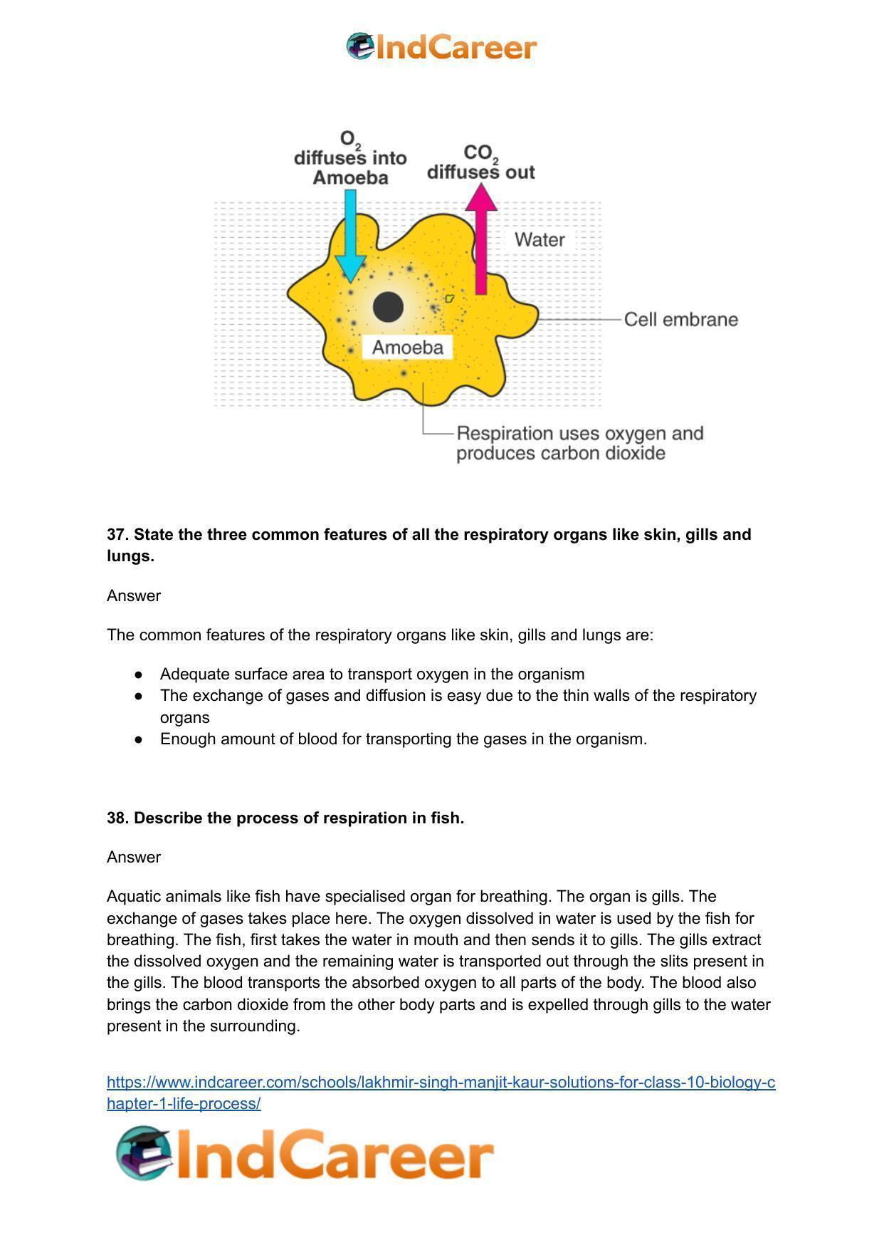 Lakhmir Singh Manjit Kaur  Solutions for Class 10 Biology: Chapter 1- Life Process - Page 57