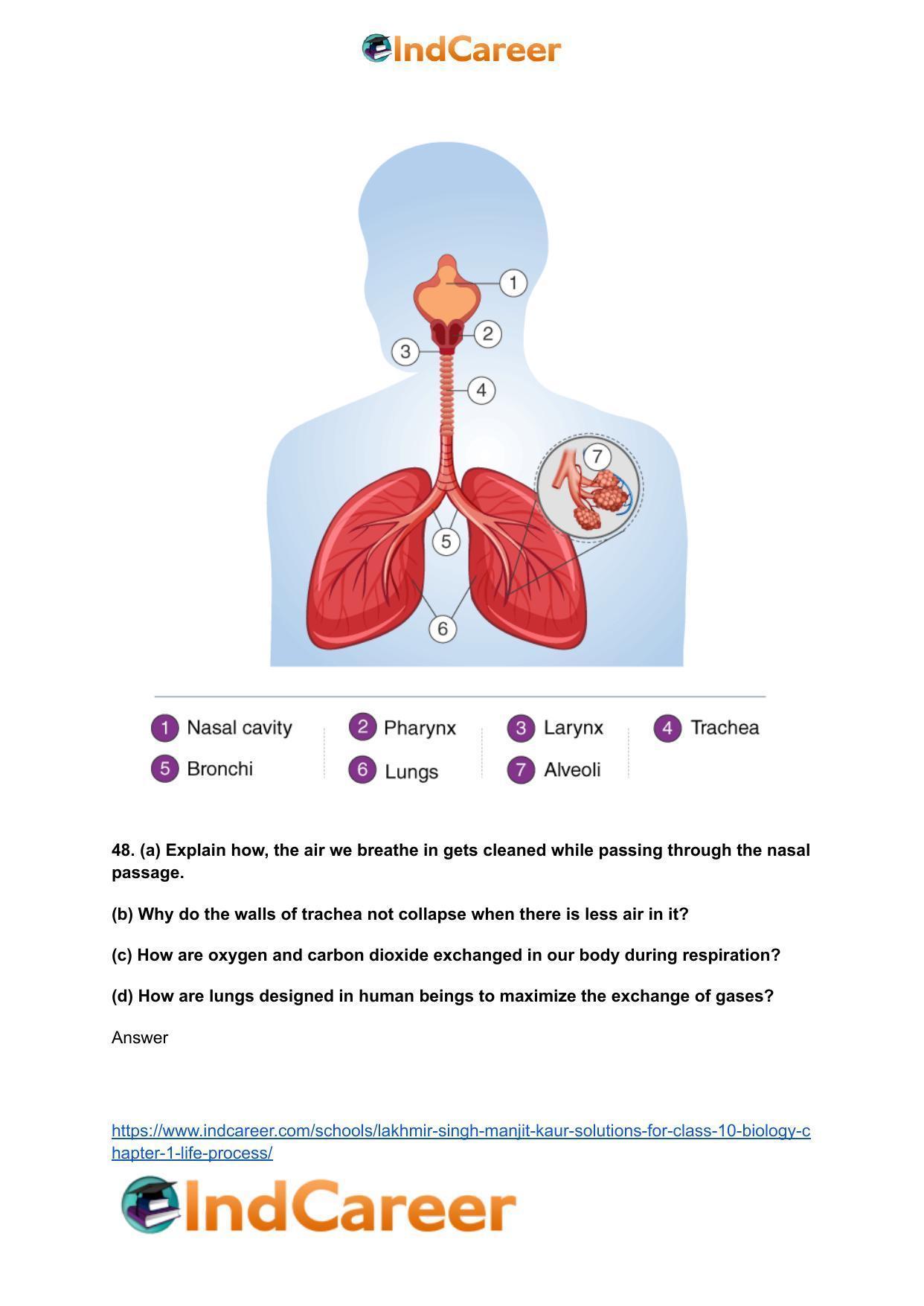 Lakhmir Singh Manjit Kaur  Solutions for Class 10 Biology: Chapter 1- Life Process - Page 61