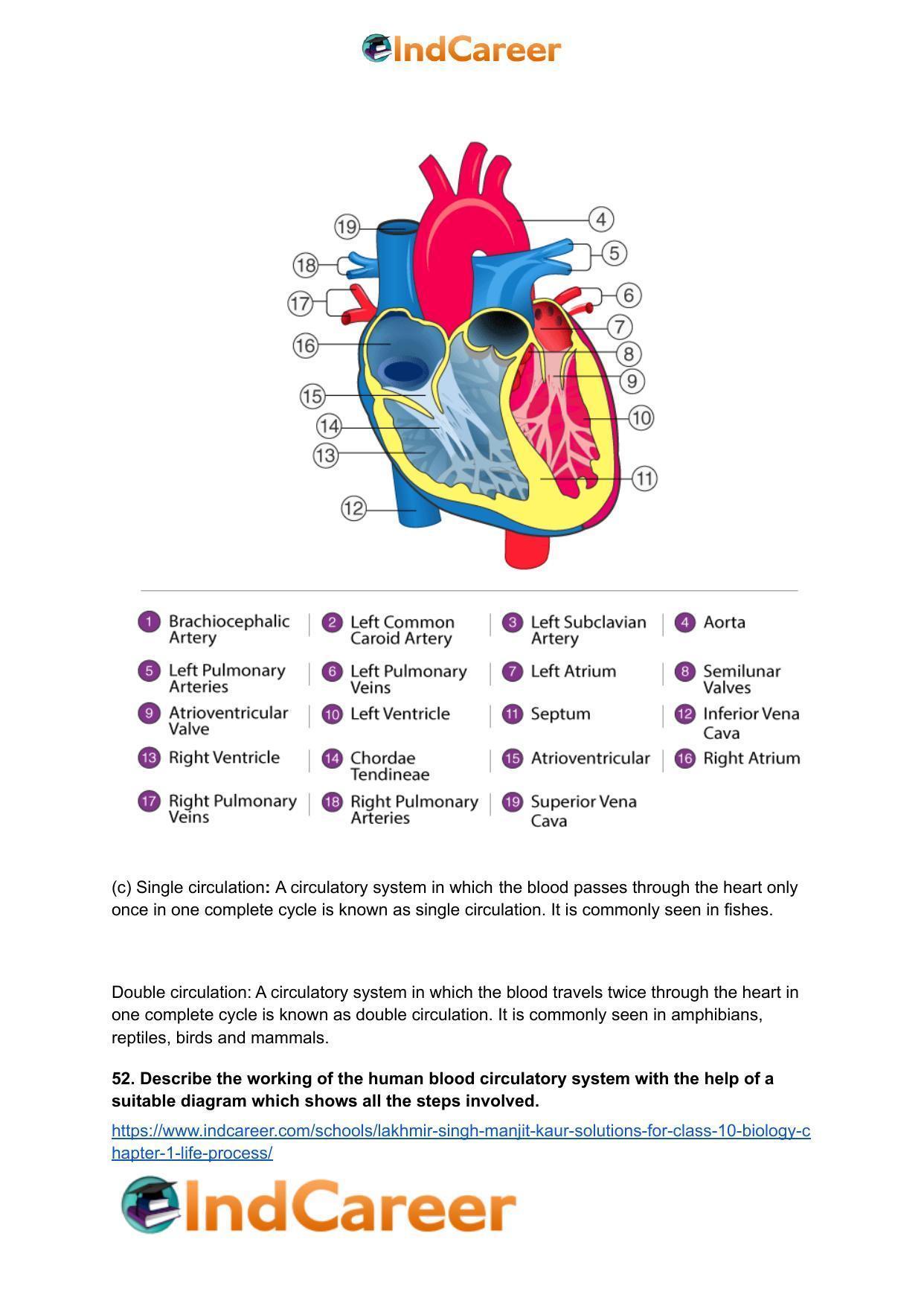 Lakhmir Singh Manjit Kaur  Solutions for Class 10 Biology: Chapter 1- Life Process - Page 94