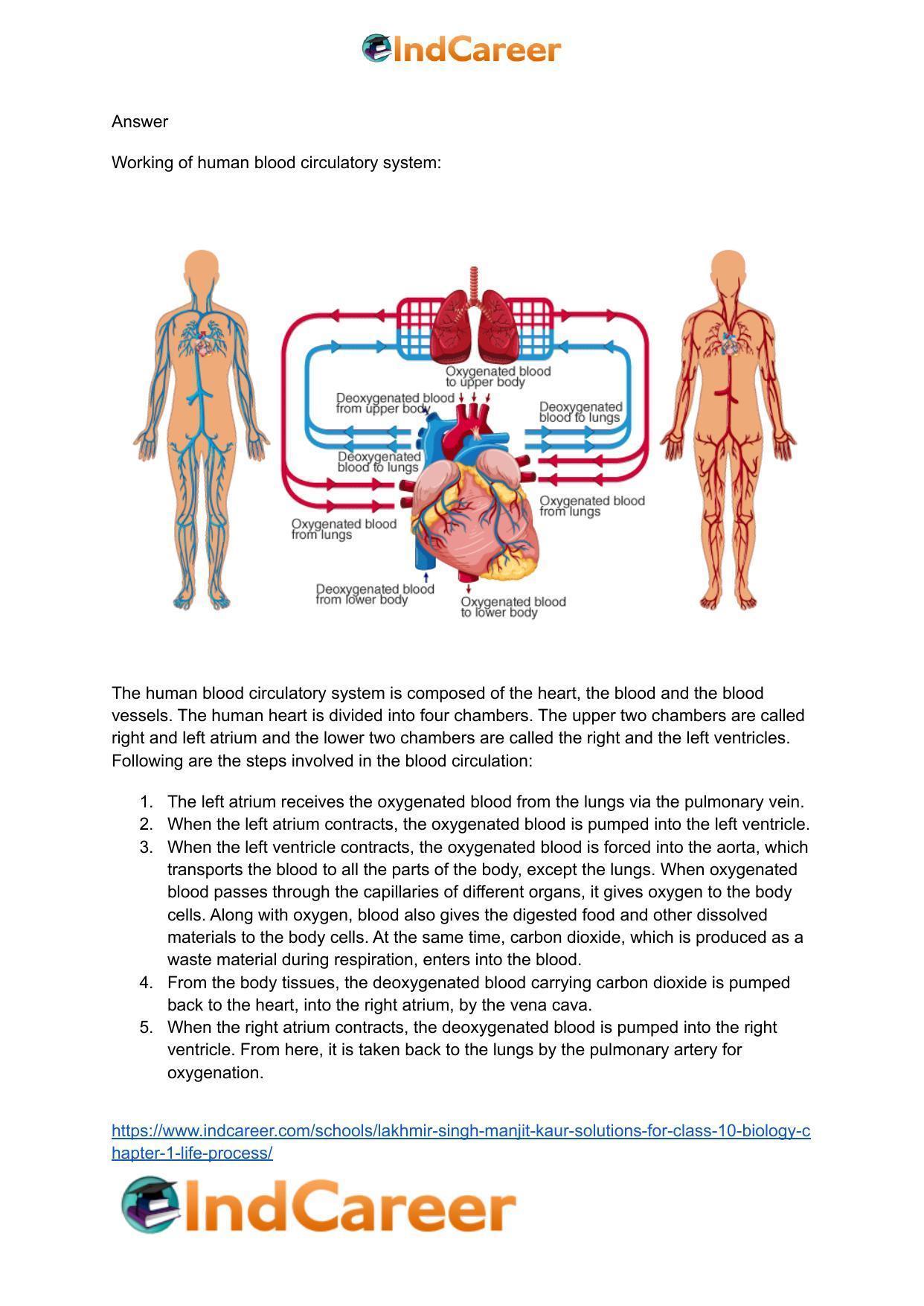 Lakhmir Singh Manjit Kaur  Solutions for Class 10 Biology: Chapter 1- Life Process - Page 95