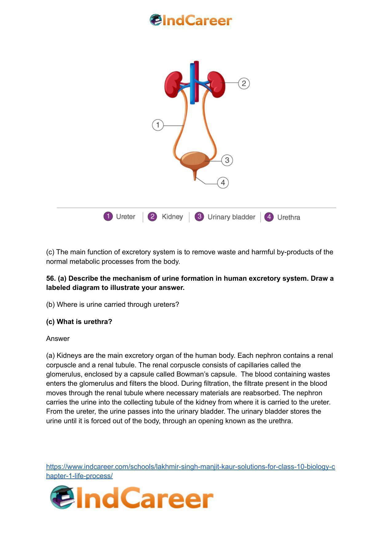 Lakhmir Singh Manjit Kaur  Solutions for Class 10 Biology: Chapter 1- Life Process - Page 98