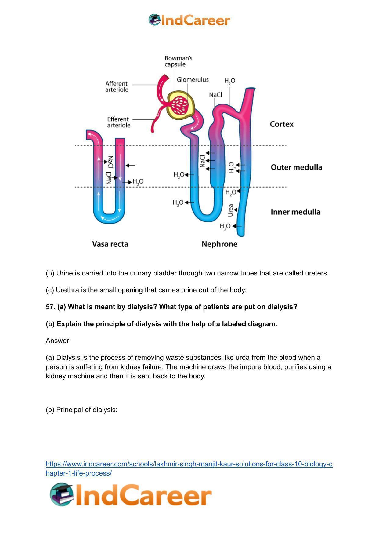 Lakhmir Singh Manjit Kaur  Solutions for Class 10 Biology: Chapter 1- Life Process - Page 99