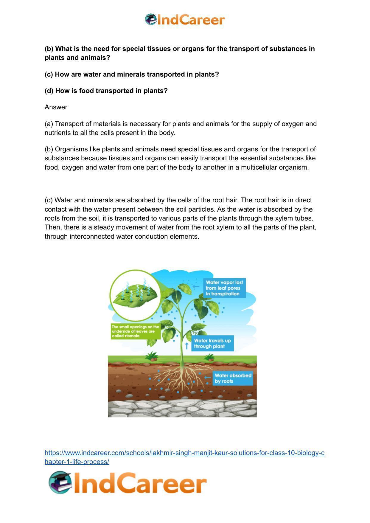 Lakhmir Singh Manjit Kaur  Solutions for Class 10 Biology: Chapter 1- Life Process - Page 101
