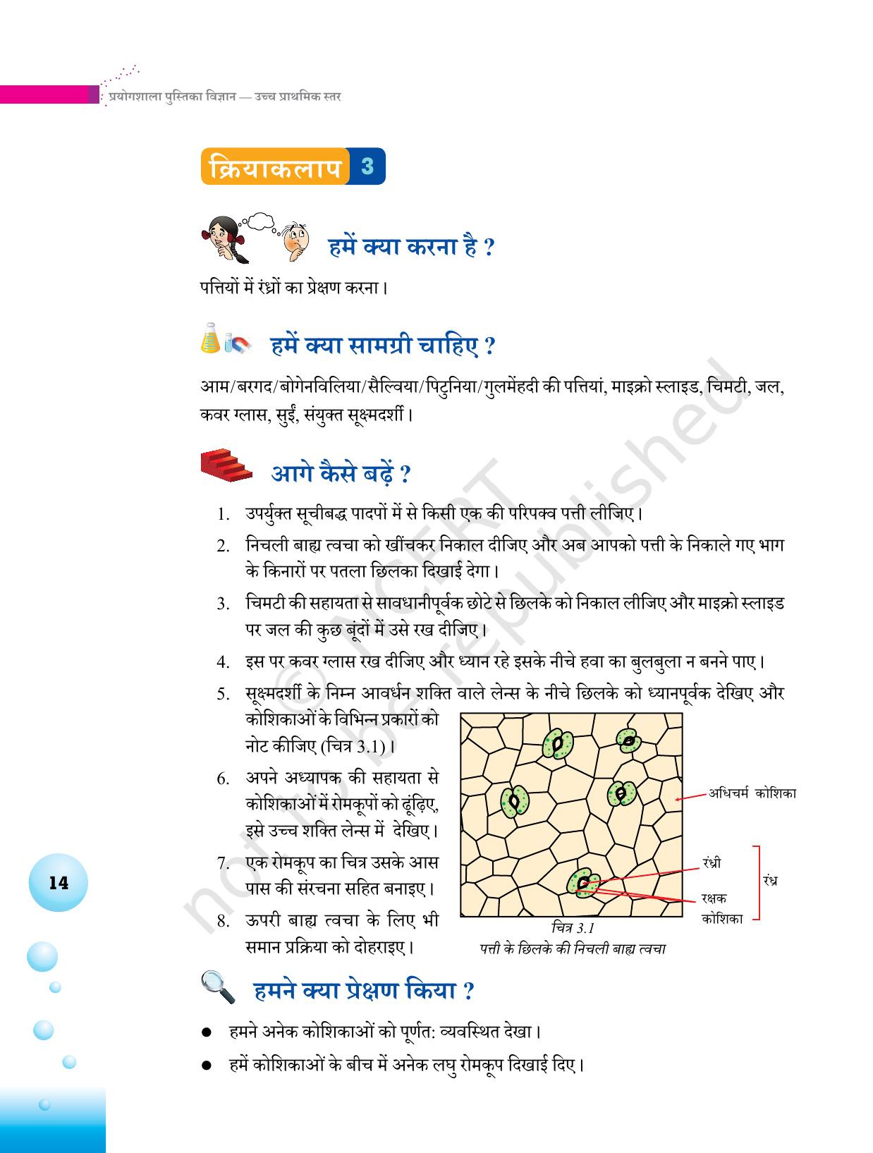 NCERT Laboratory Manuals for Class VI to VIII विज्ञान - थीम 1  - Page 14