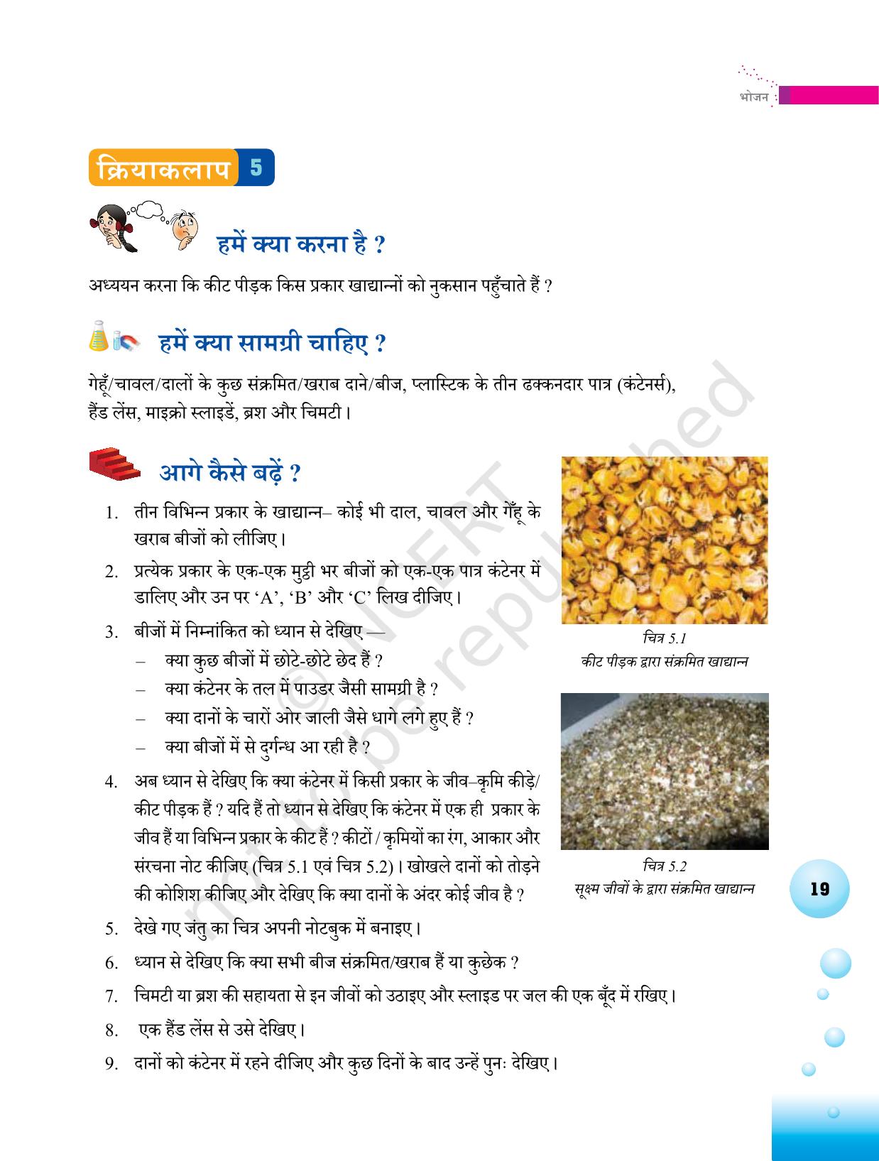 NCERT Laboratory Manuals for Class VI to VIII विज्ञान - थीम 1  - Page 19