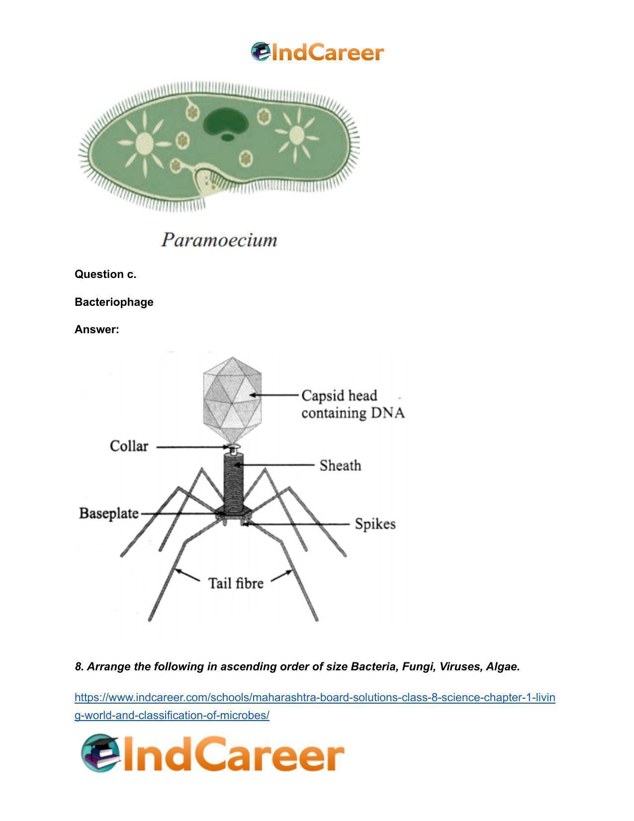 Maharashtra Board Solutions Class 8-Science: Chapter 1- Living World and Classification of Microbes - Page 9