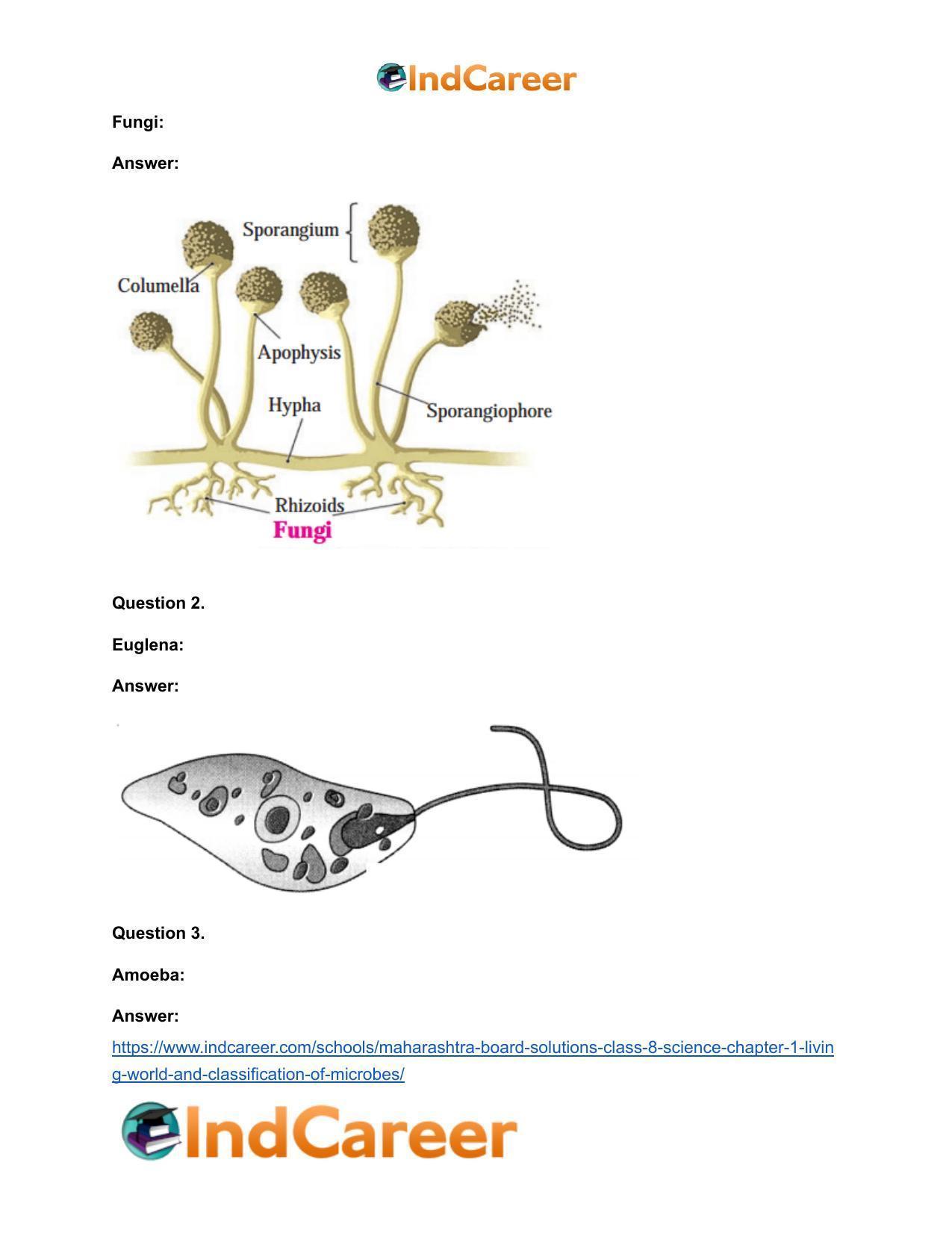 Maharashtra Board Solutions Class 8-Science: Chapter 1- Living World and Classification of Microbes - Page 20