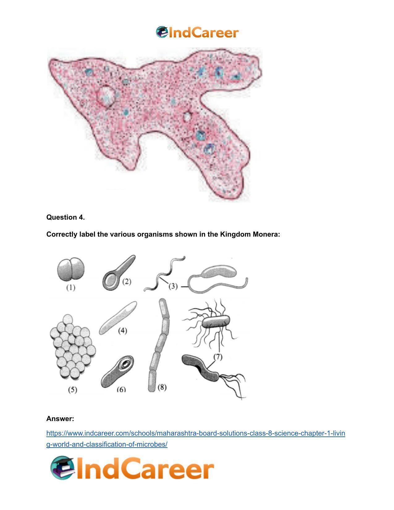 Maharashtra Board Solutions Class 8-Science: Chapter 1- Living World and Classification of Microbes - Page 21