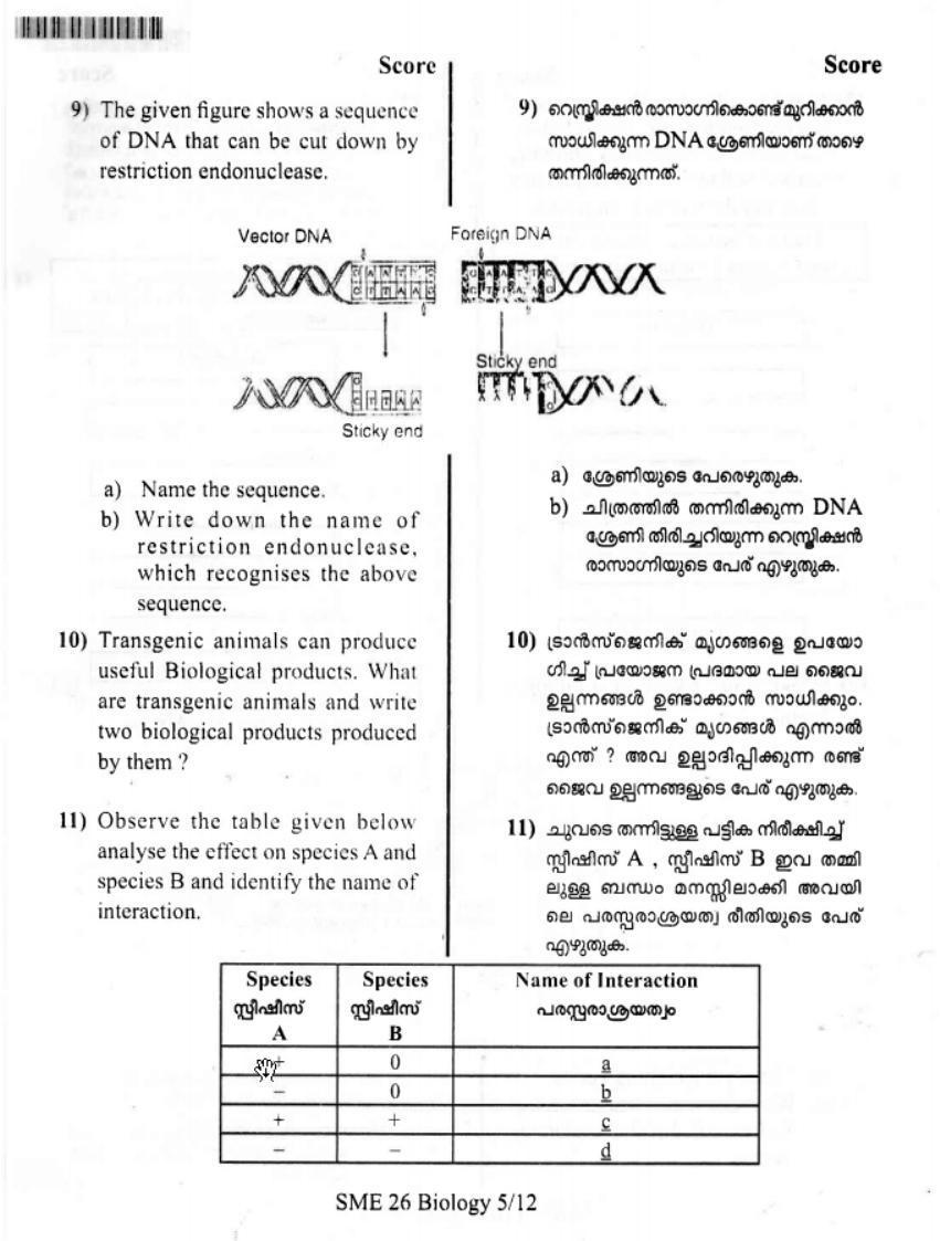 Kerala Plus Two 2019 Botany Model Question Paper - Page 4