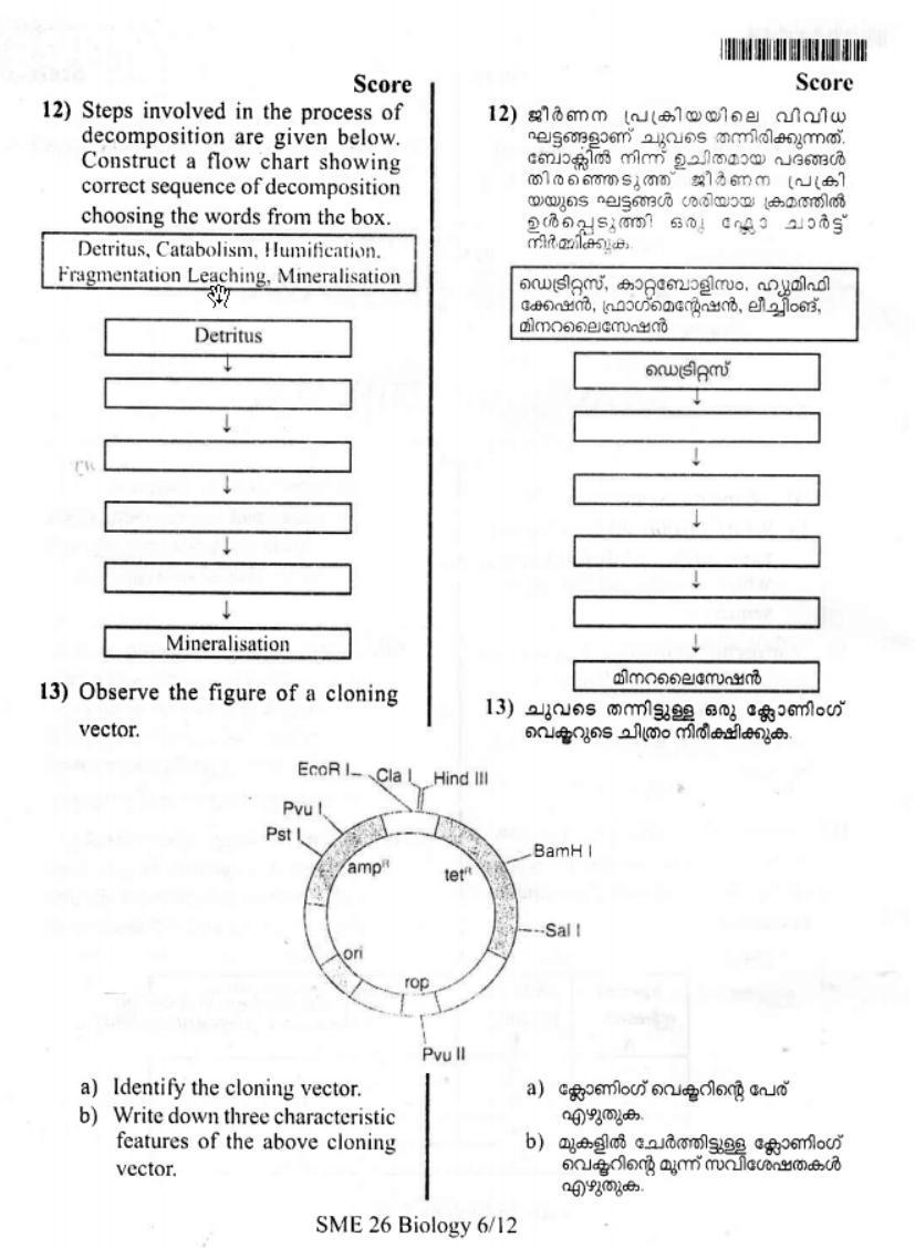 Kerala Plus Two 2019 Botany Model Question Paper - Page 5