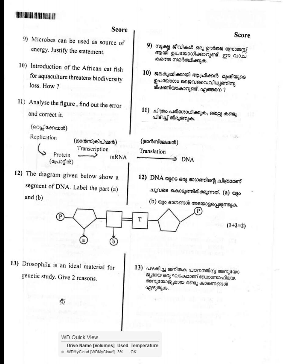 Kerala Plus Two 2019 Botany Model Question Paper - Page 10