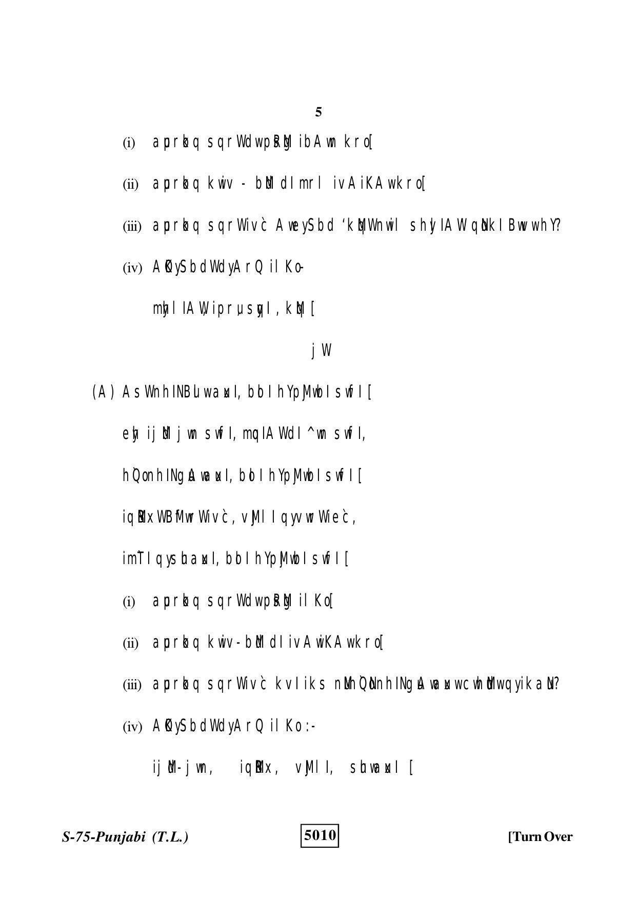 RBSE Class 10 Punjabi (T.L.) 2019 Question Paper - Page 5