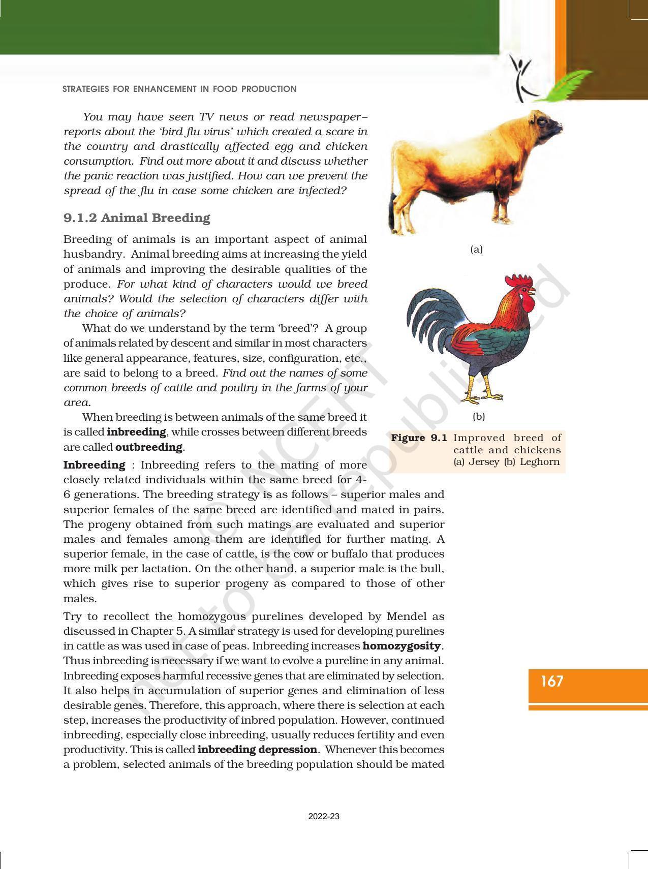 NCERT Book for Class 12 Biology Chapter 9 Strategies for Enhancement in Food Production - Page 3