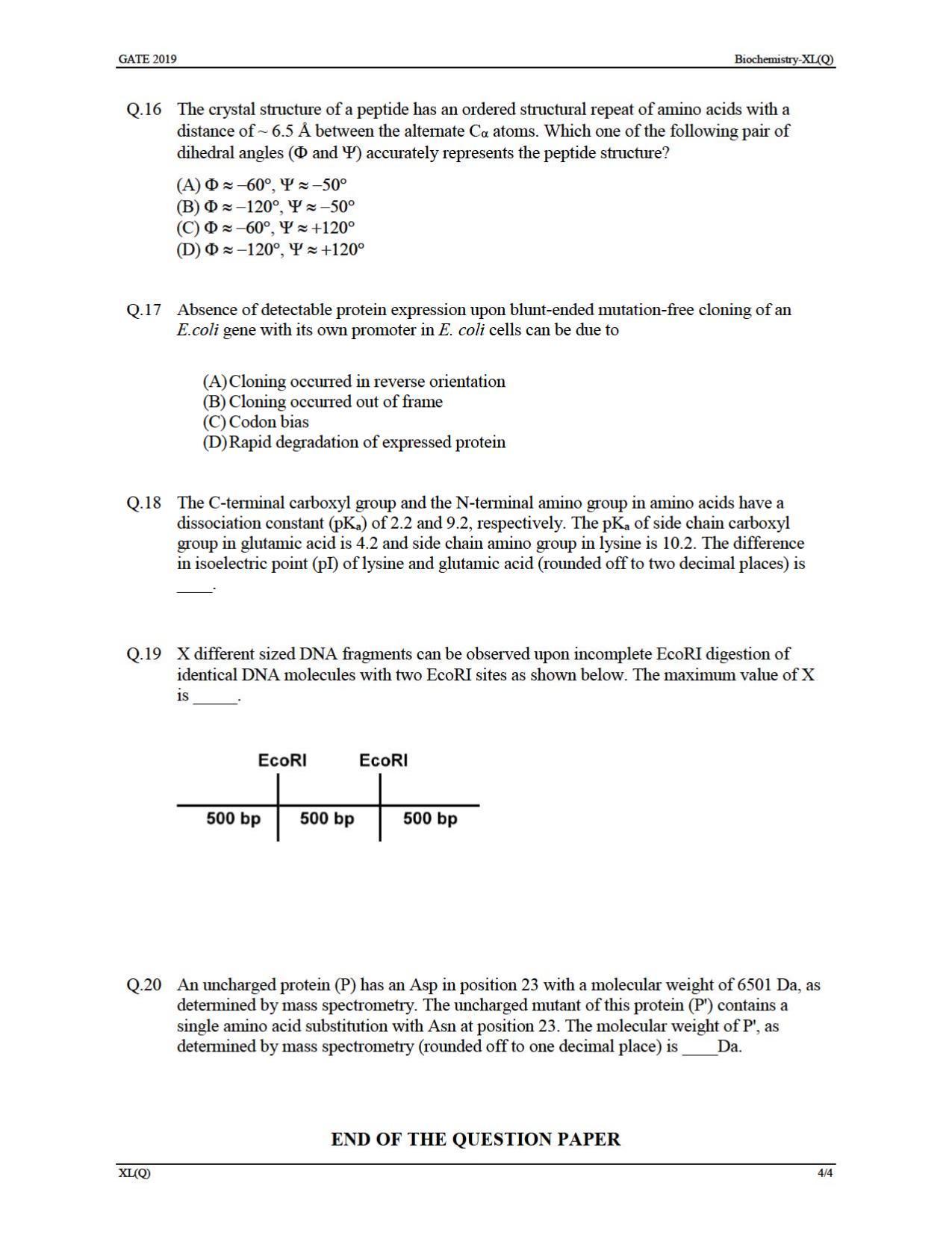 GATE 2019 Life Sciences(XL) Question Paper - Page 12