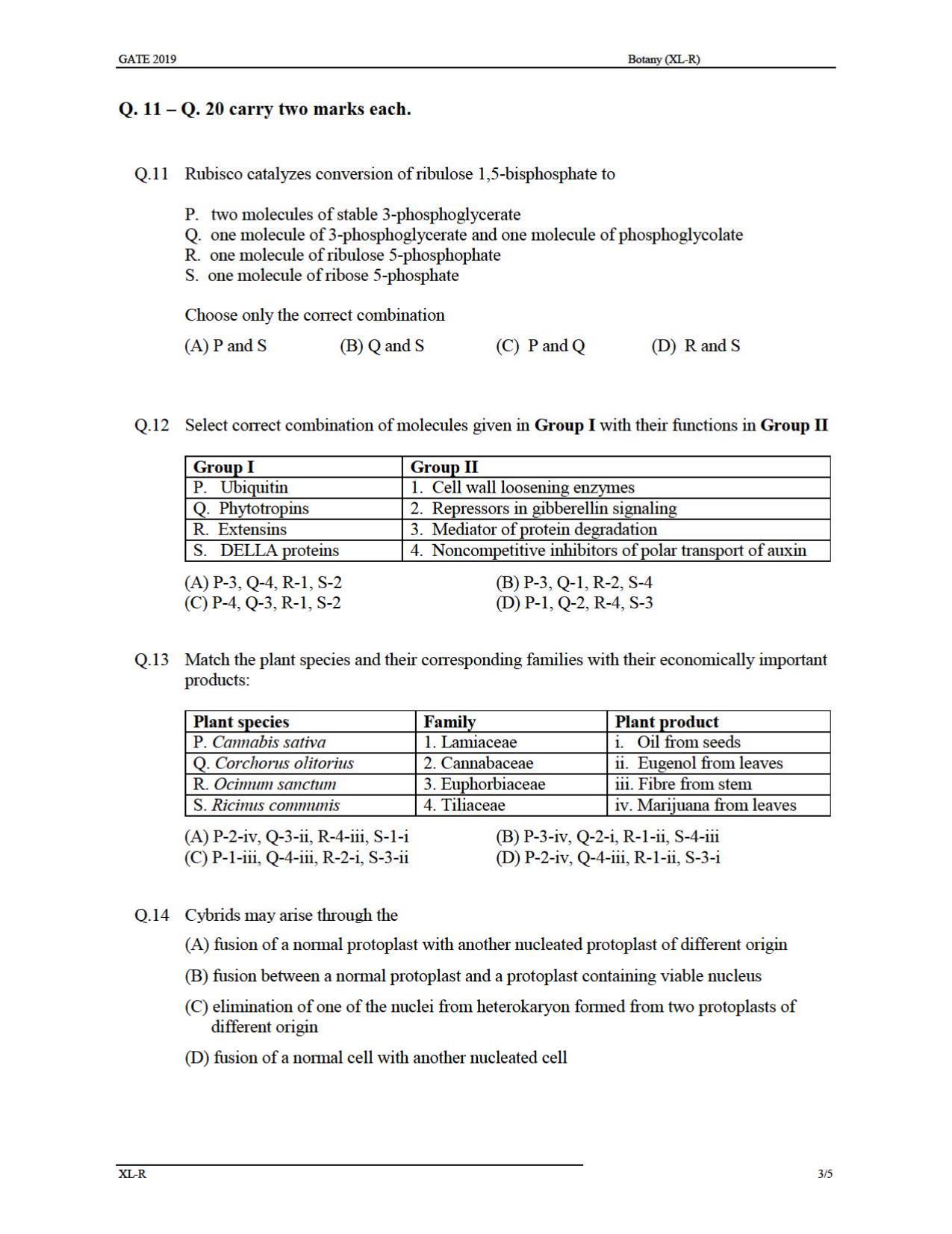 GATE 2019 Life Sciences(XL) Question Paper - Page 15