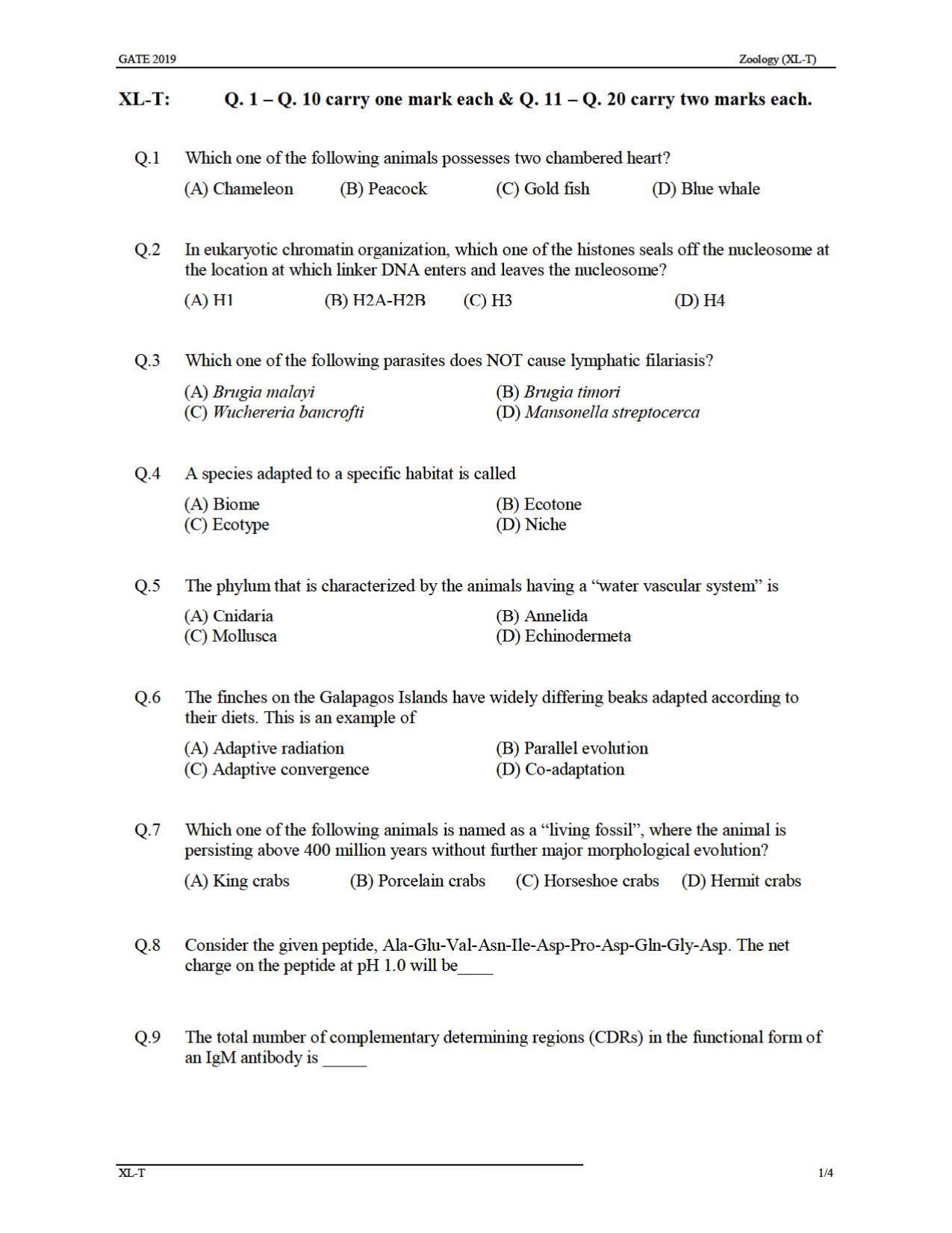 GATE 2019 Life Sciences(XL) Question Paper - Page 22