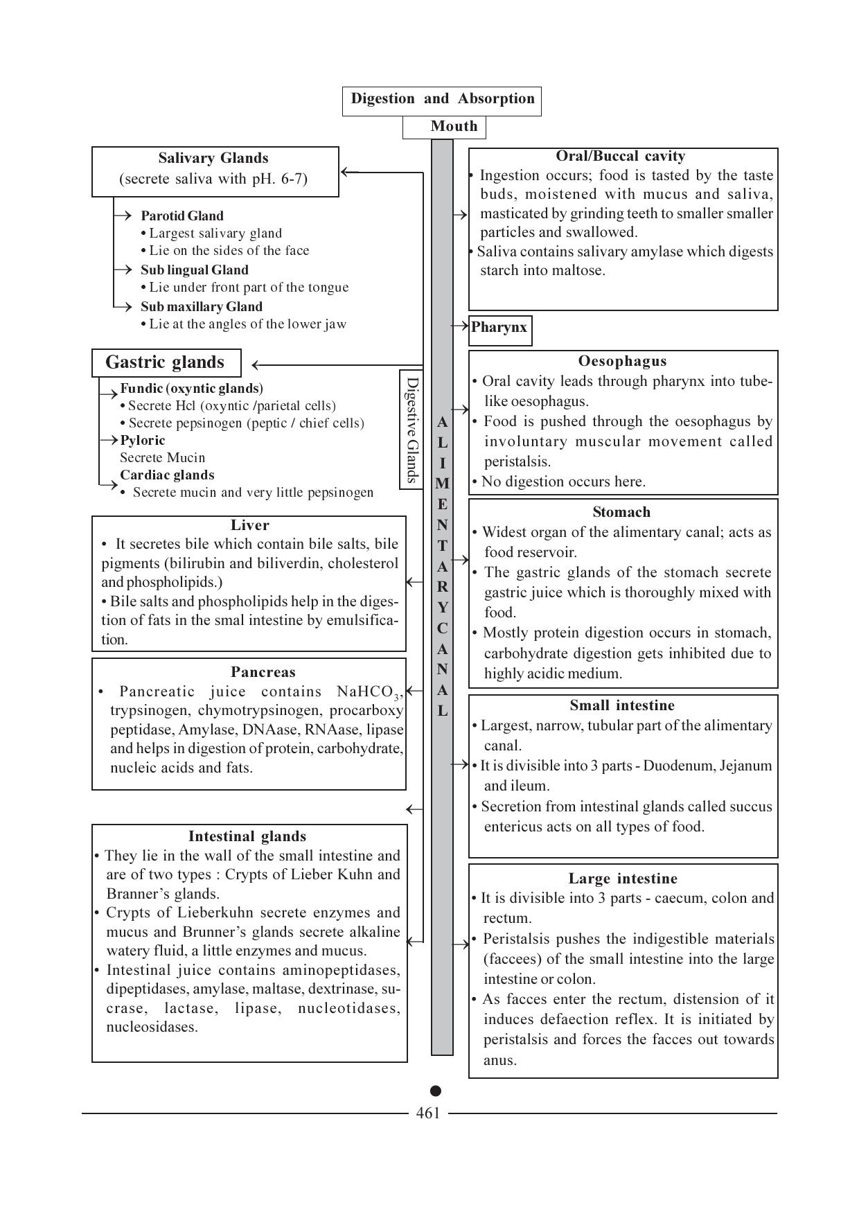 GSEB HSC Biology Question Paper (English Medium)- Chapter 22 - Page 19