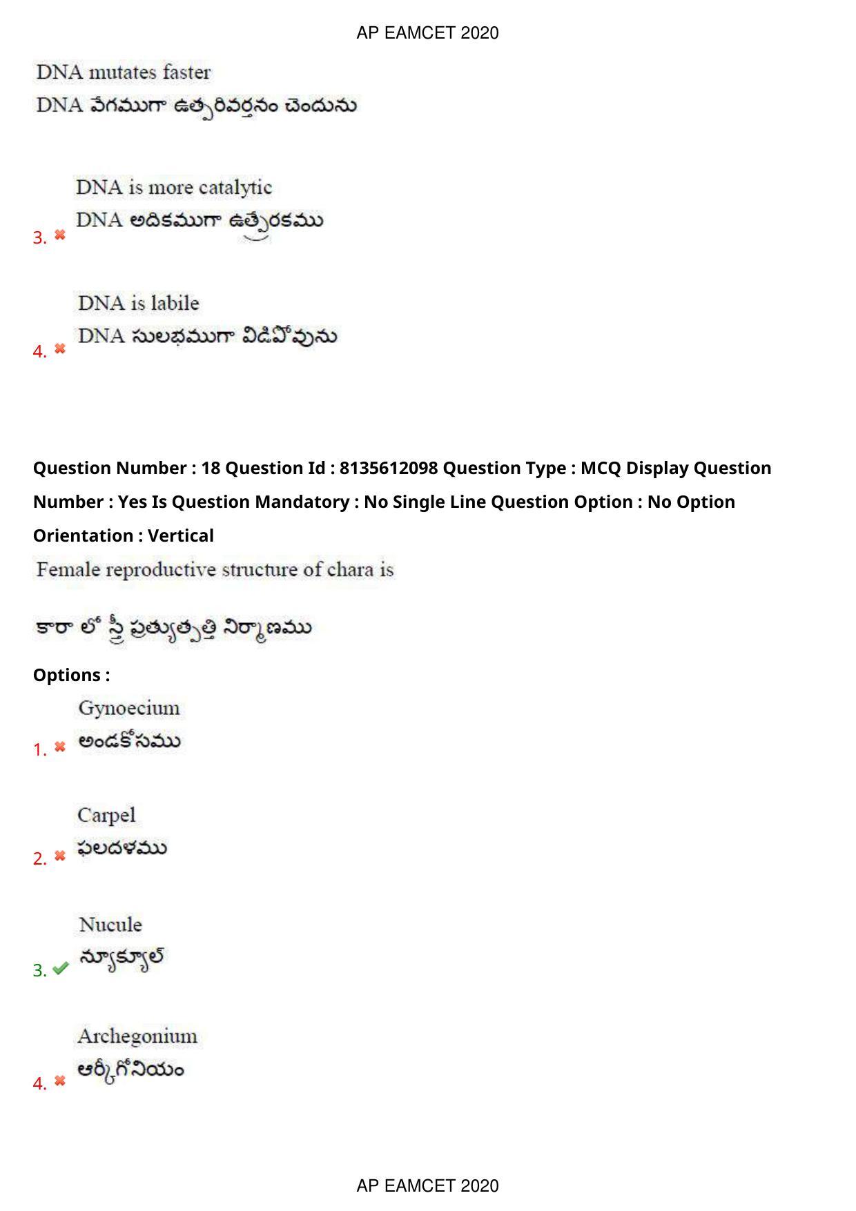 TS EAMCET 2020 Agriculture and Medical Question Paper with Key (25 Sep.2020 Afternoon) - Page 14