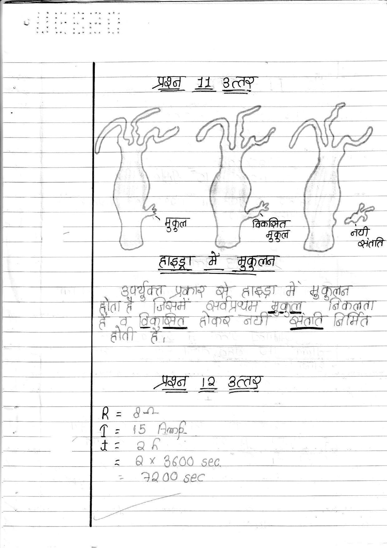 UBSE Class 10 Science 2020 Toppers Answer Sheet - Page 6