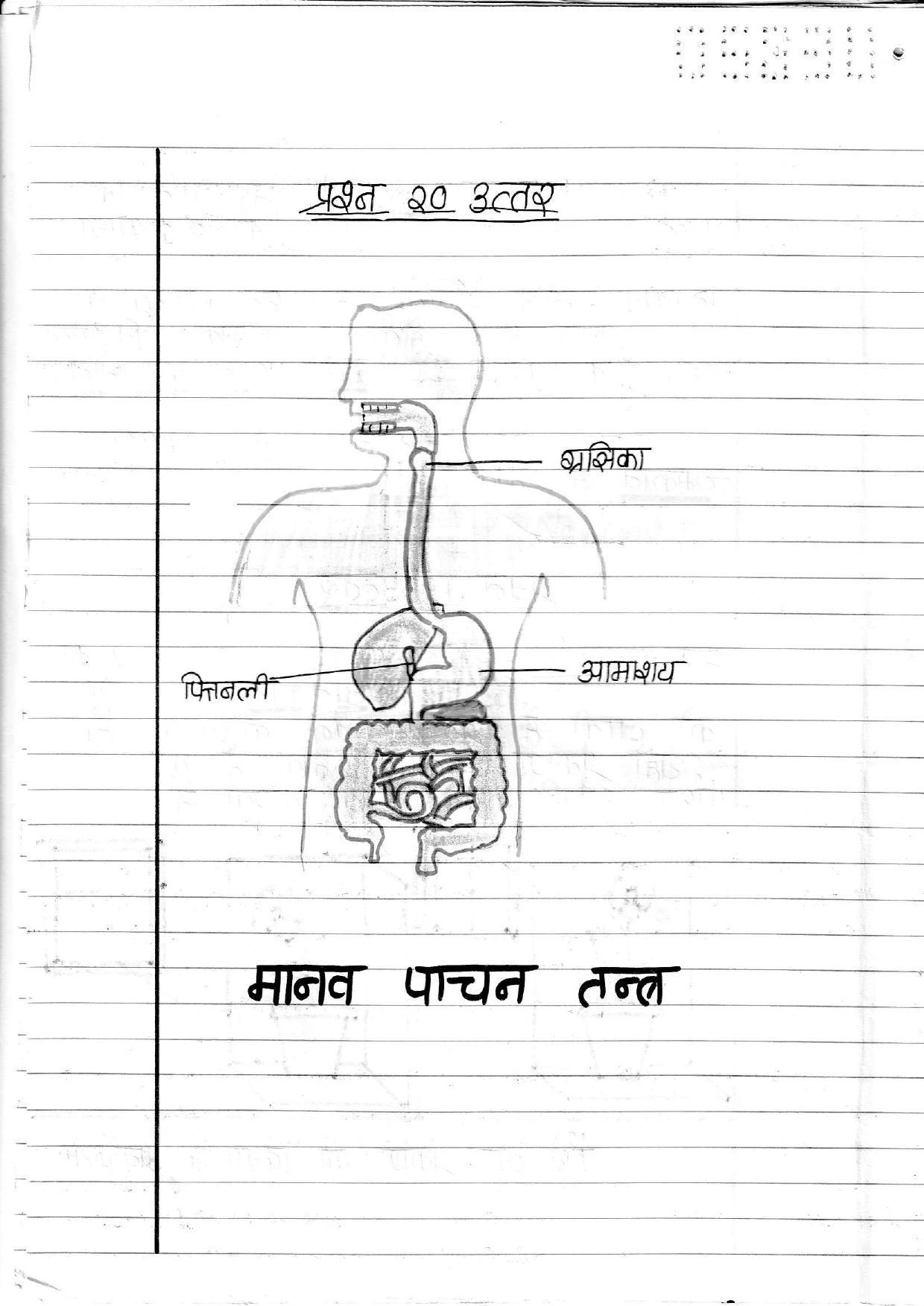 UBSE Class 10 Science 2020 Toppers Answer Sheet - Page 11