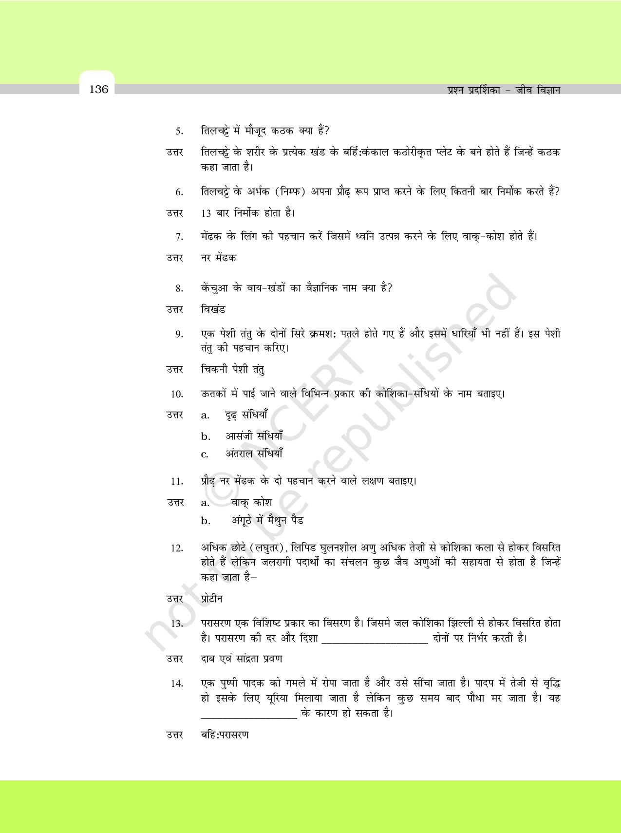 NCERT Exemplar Class 11: जीवविज्ञान अध्याय 24 (वर्णनात्मक प्रश्नो के मॉडल उत्तर) - Page 2