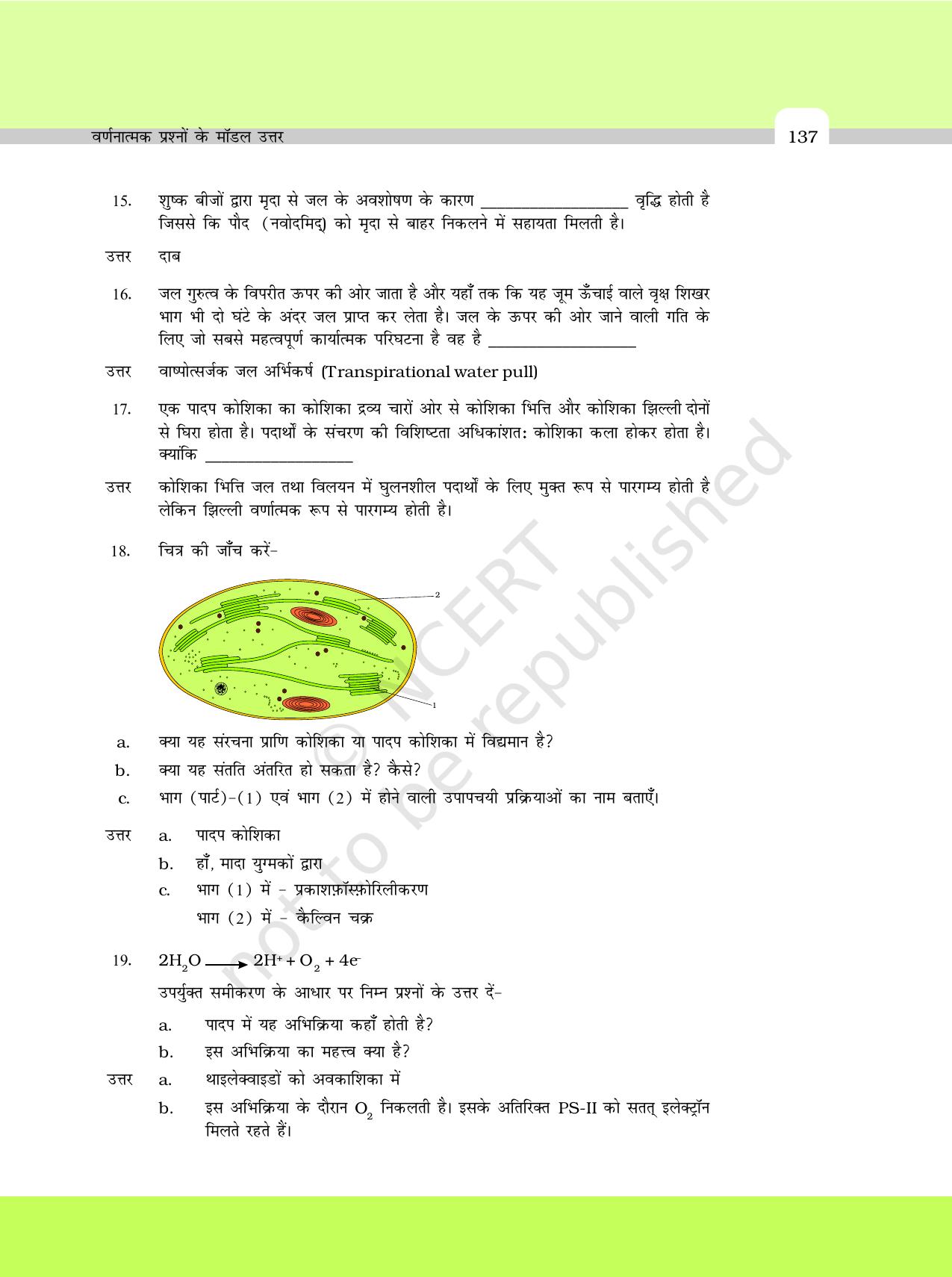 NCERT Exemplar Class 11: जीवविज्ञान अध्याय 24 (वर्णनात्मक प्रश्नो के मॉडल उत्तर) - Page 3