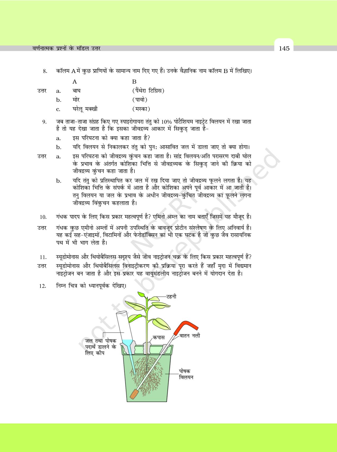 NCERT Exemplar Class 11: जीवविज्ञान अध्याय 24 (वर्णनात्मक प्रश्नो के मॉडल उत्तर) - Page 11