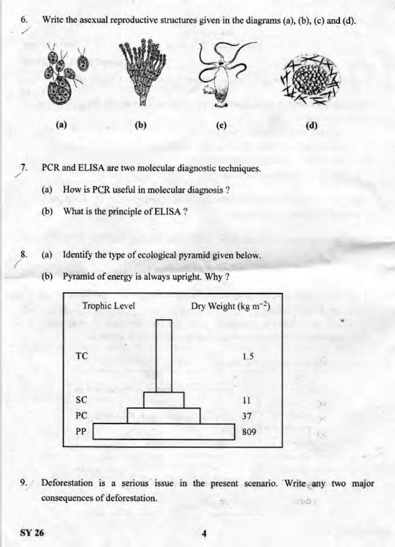 Kerala Plus Two 2019 Biology Question Paper - Page 3