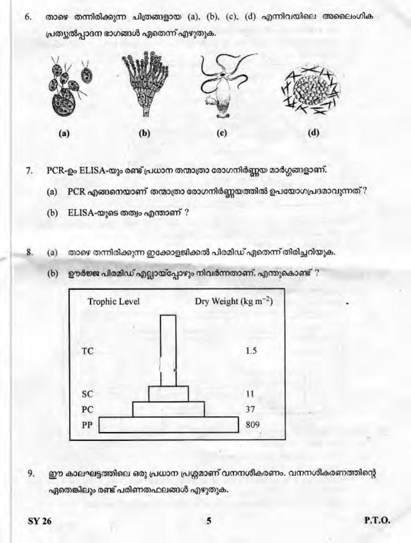 Kerala Plus Two 2019 Biology Question Paper - Page 4