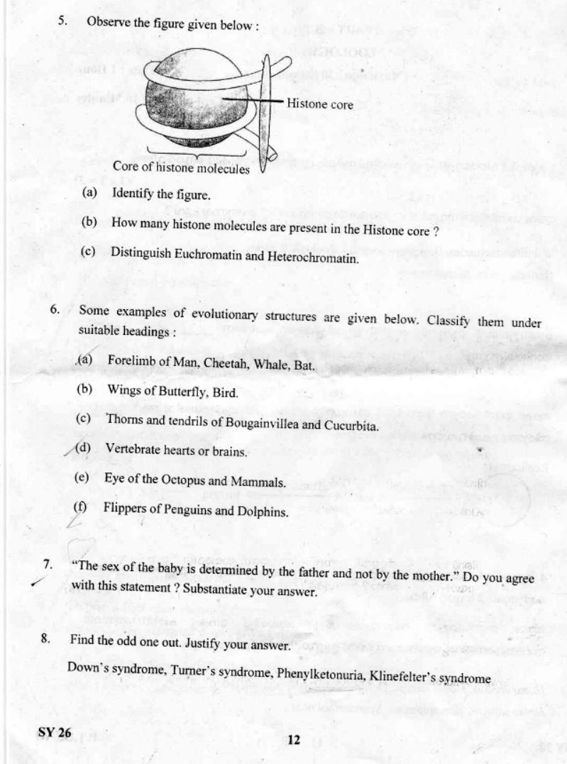 Kerala Plus Two 2019 Biology Question Paper - Page 11