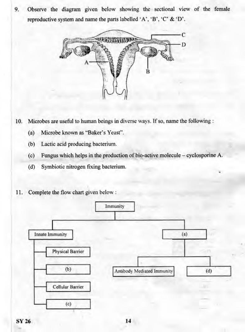 Kerala Plus Two 2019 Biology Question Paper - Page 13