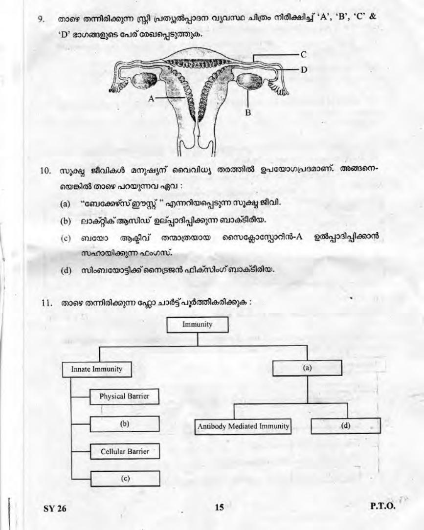 Kerala Plus Two 2019 Biology Question Paper - Page 14
