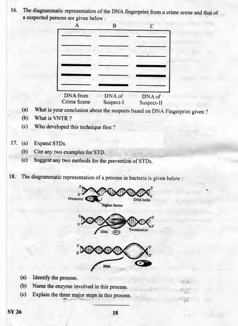 Kerala Plus Two 2019 Biology Question Paper - Page 17