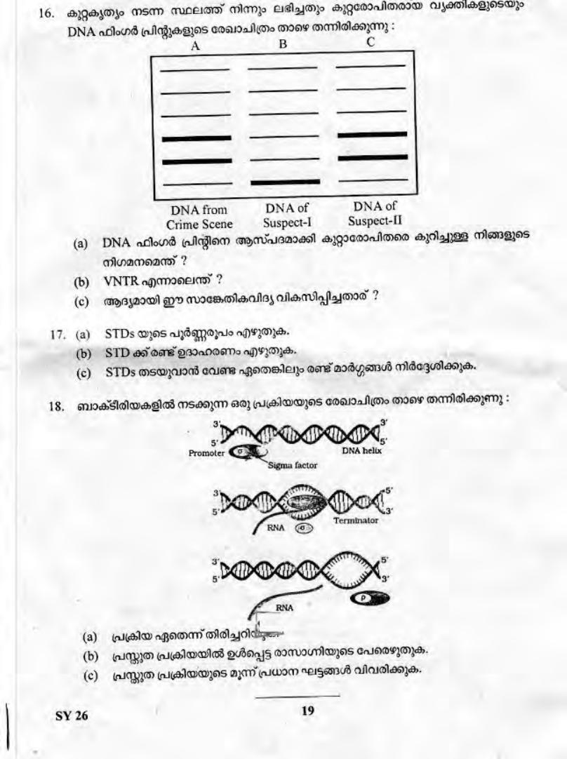 Kerala Plus Two 2019 Biology Question Paper - Page 18