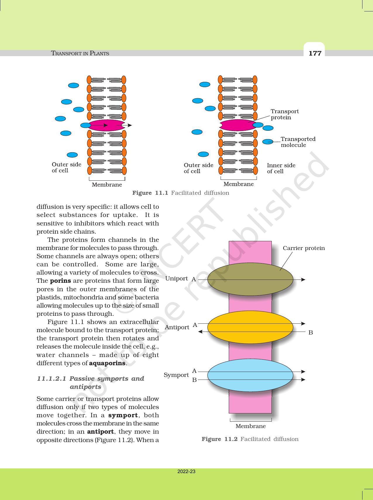 NCERT Book for Class 11 Biology Chapter 11 Transport in Plants - Page 5