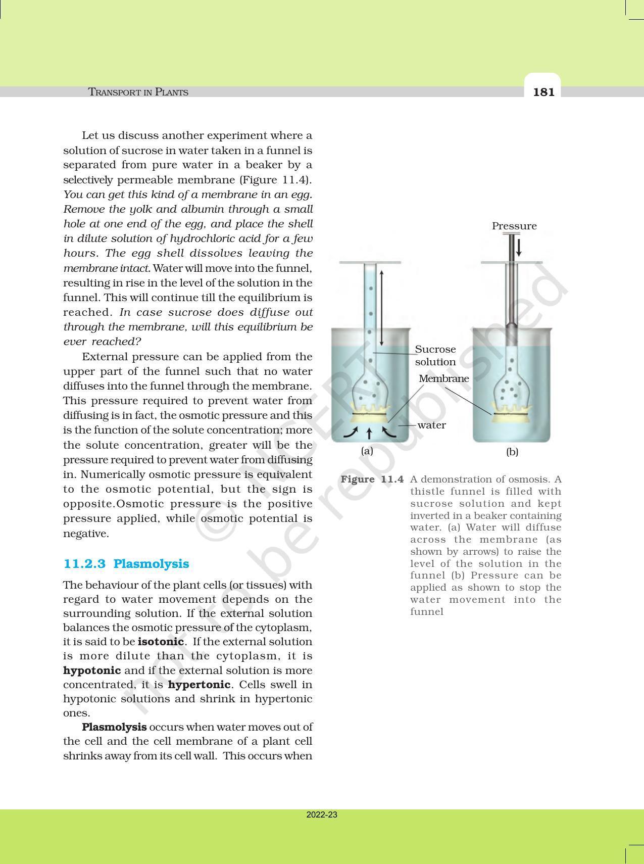 NCERT Book for Class 11 Biology Chapter 11 Transport in Plants - Page 9